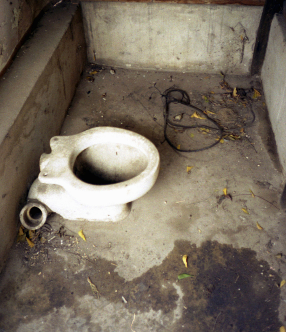 农村也流行这种卫生间,这种厕所卫生间,最恶心,是最不卫生,最不干净的