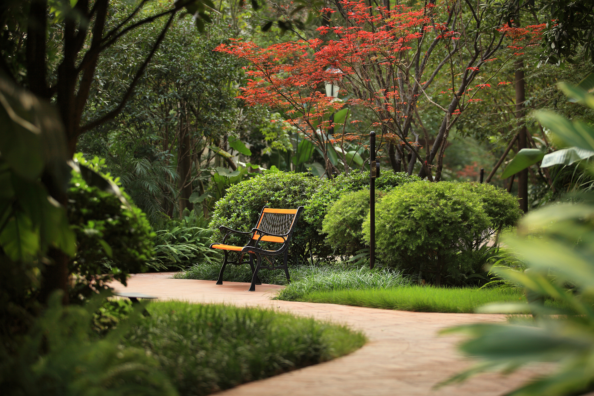 崇明岛买的新房,小区环境真好,住着很舒心!