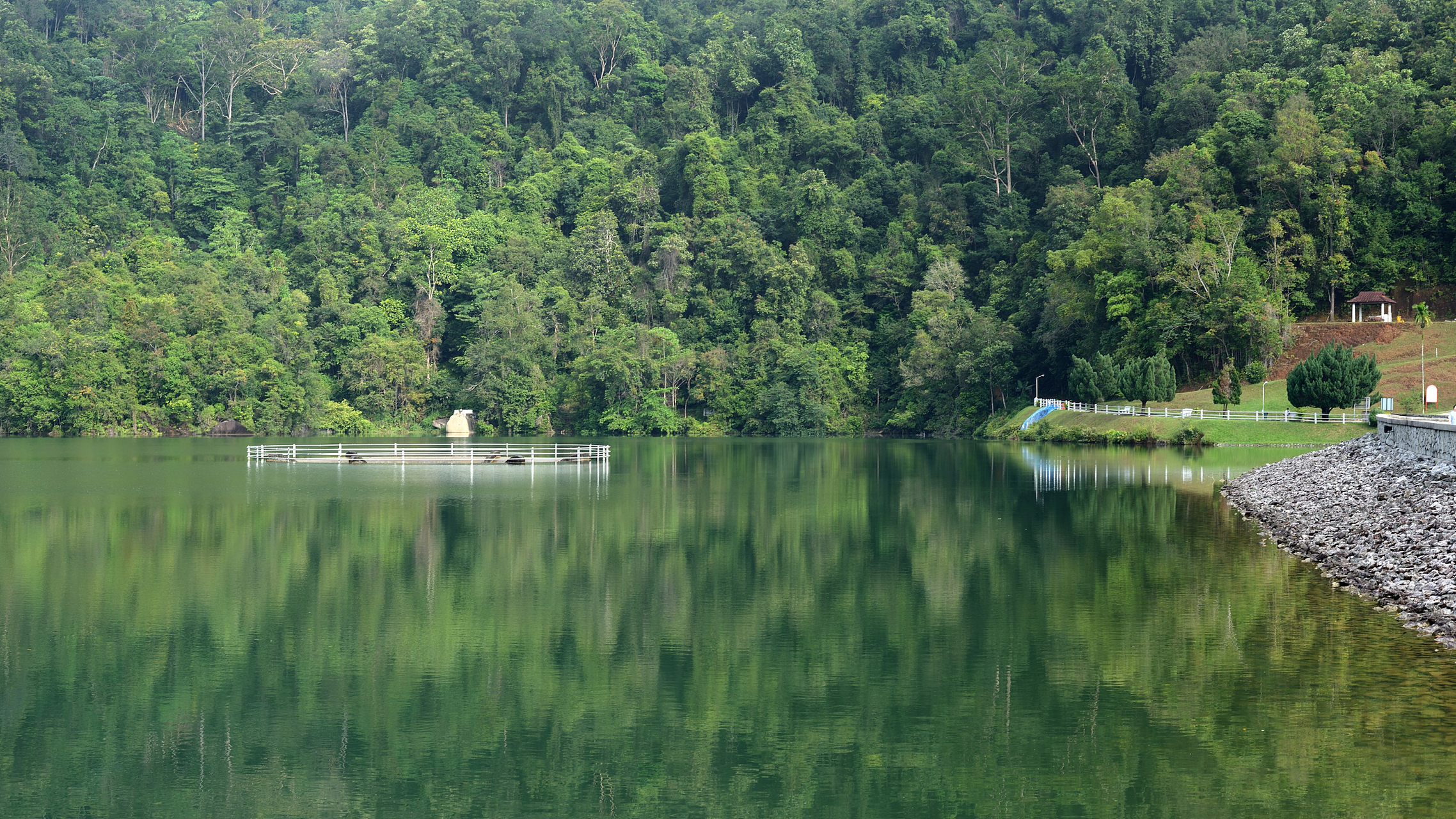 重庆彩云湖国家湿地公园是净化湿地生态系统的典型代表.