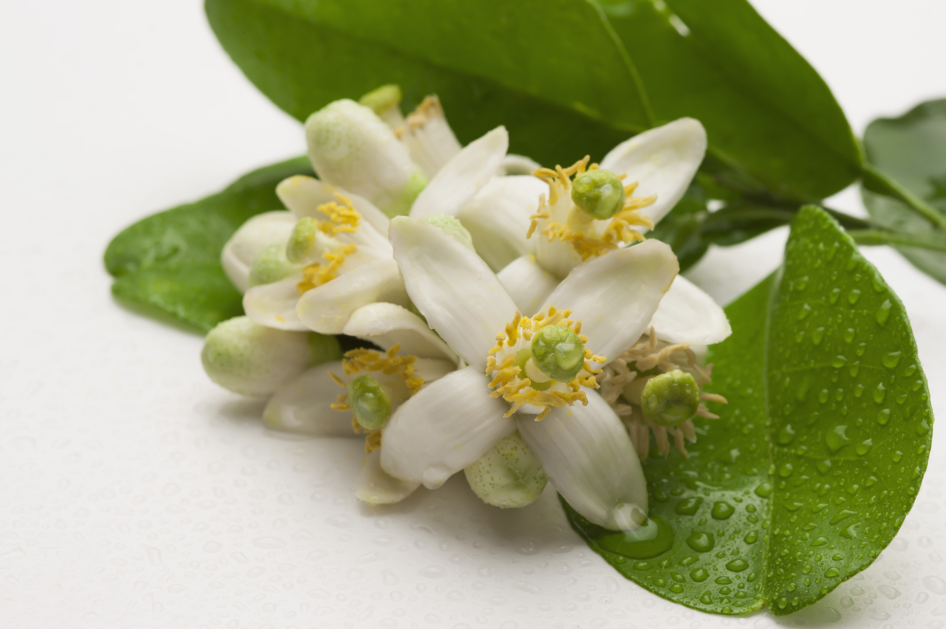 聊天聊的是一种心情,而不是严谨的天气,如果你非要