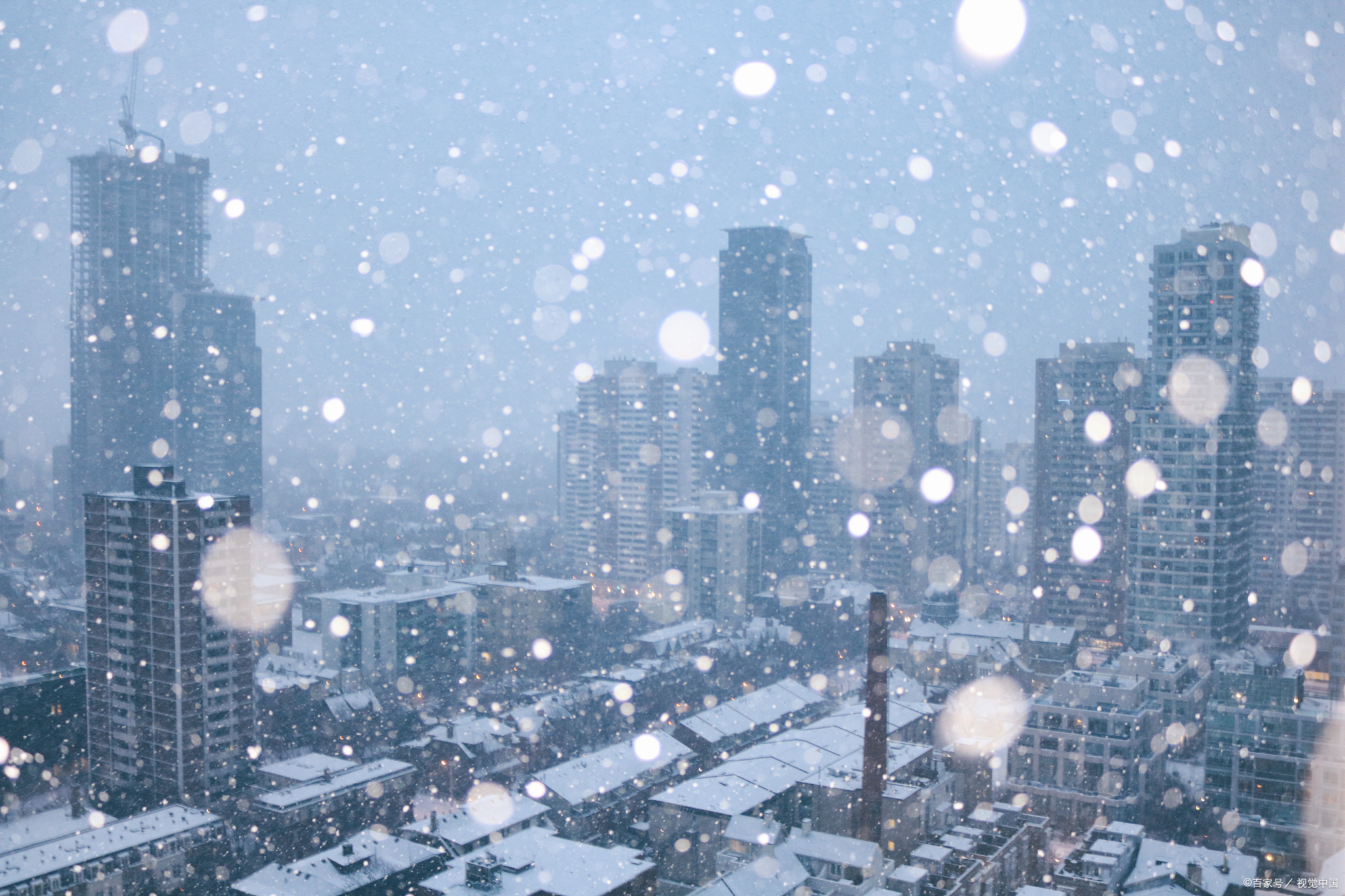 城市雪花飘飘图片图片