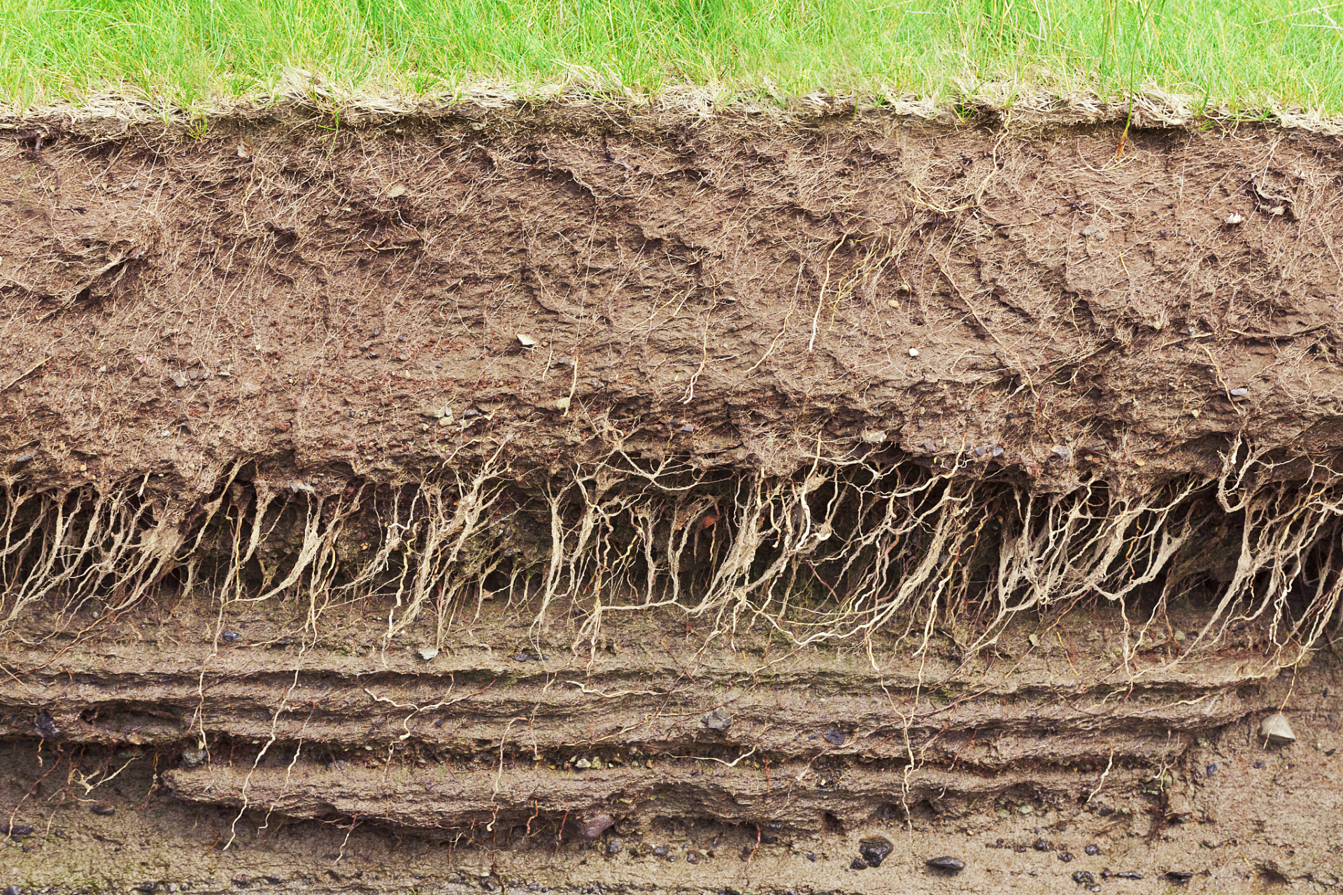 改良碱性土壤的方法有:  1.