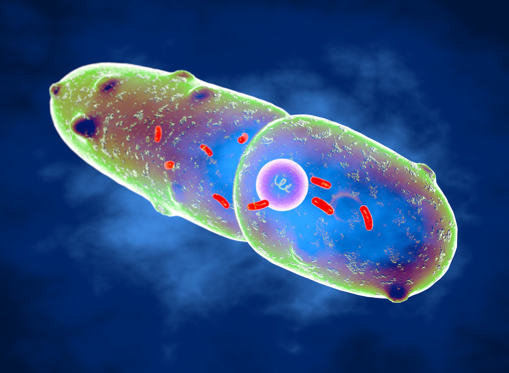 04据科学研究,地球上最早的生命形态可以追溯到约约38亿年前的