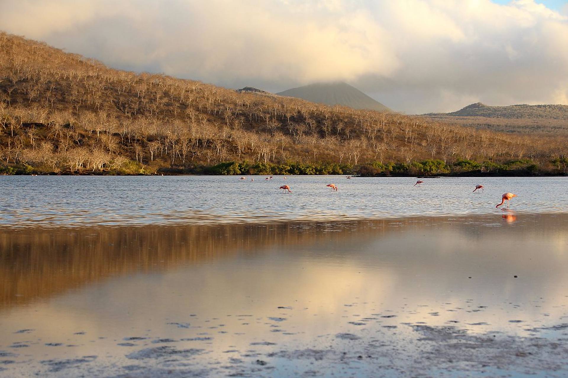 奔赴春天的旅行# 在春日的温暖阳光下,林芝尼洋河畔,徒步旅行者踏上