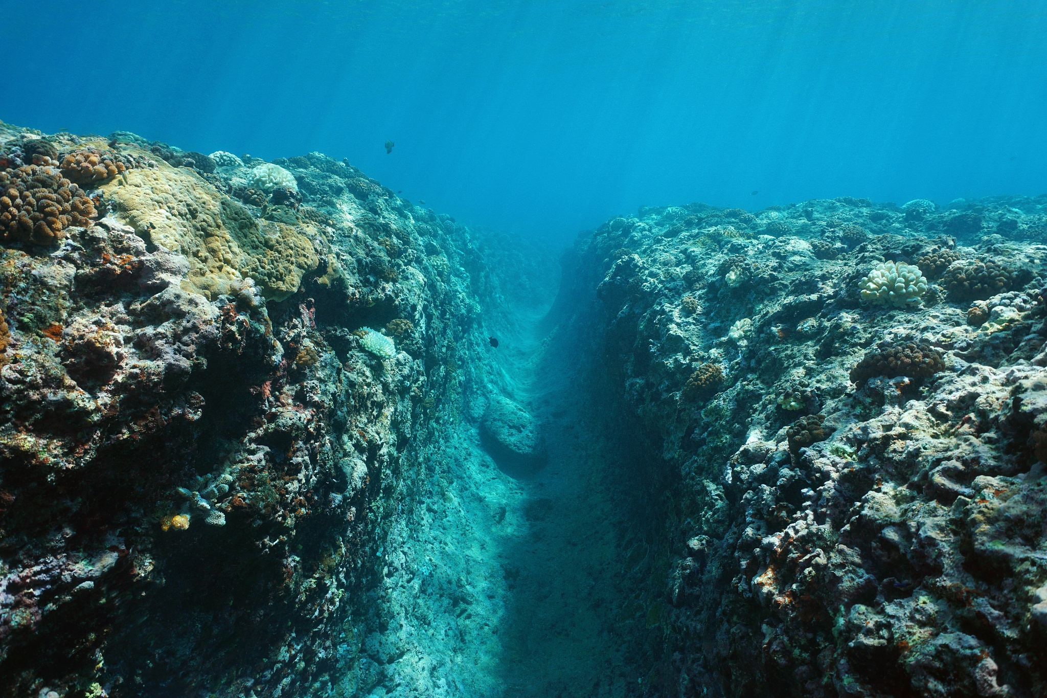 马里亚纳海沟最深处有什么?每年吸走30亿吨海水,流向哪了?