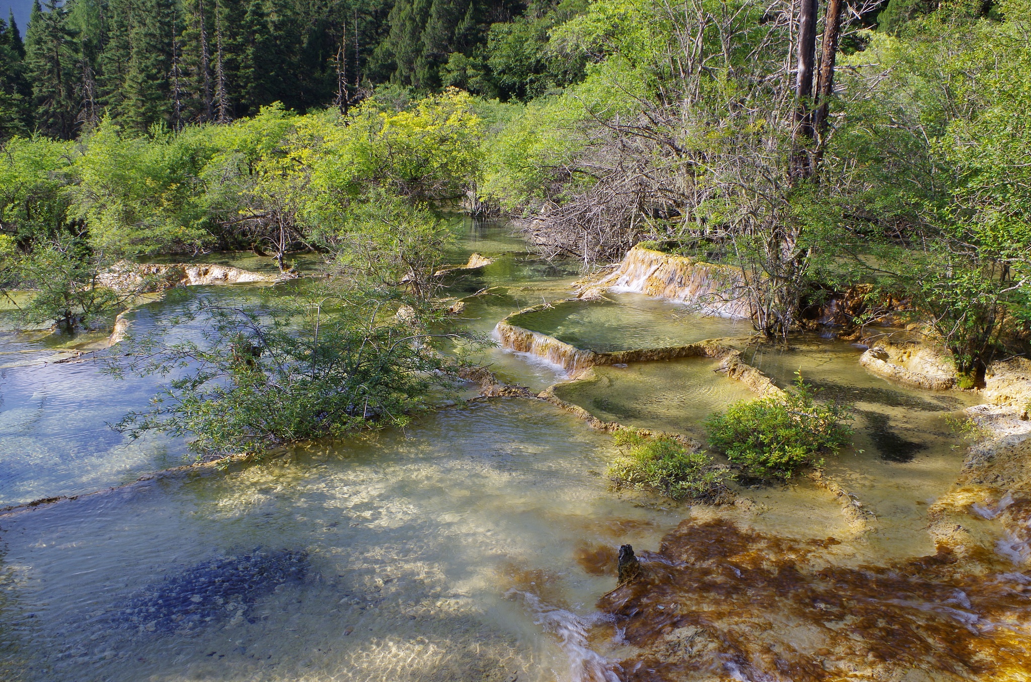 内蒙古的通辽大青沟,原始森林的溪流有多清澈?