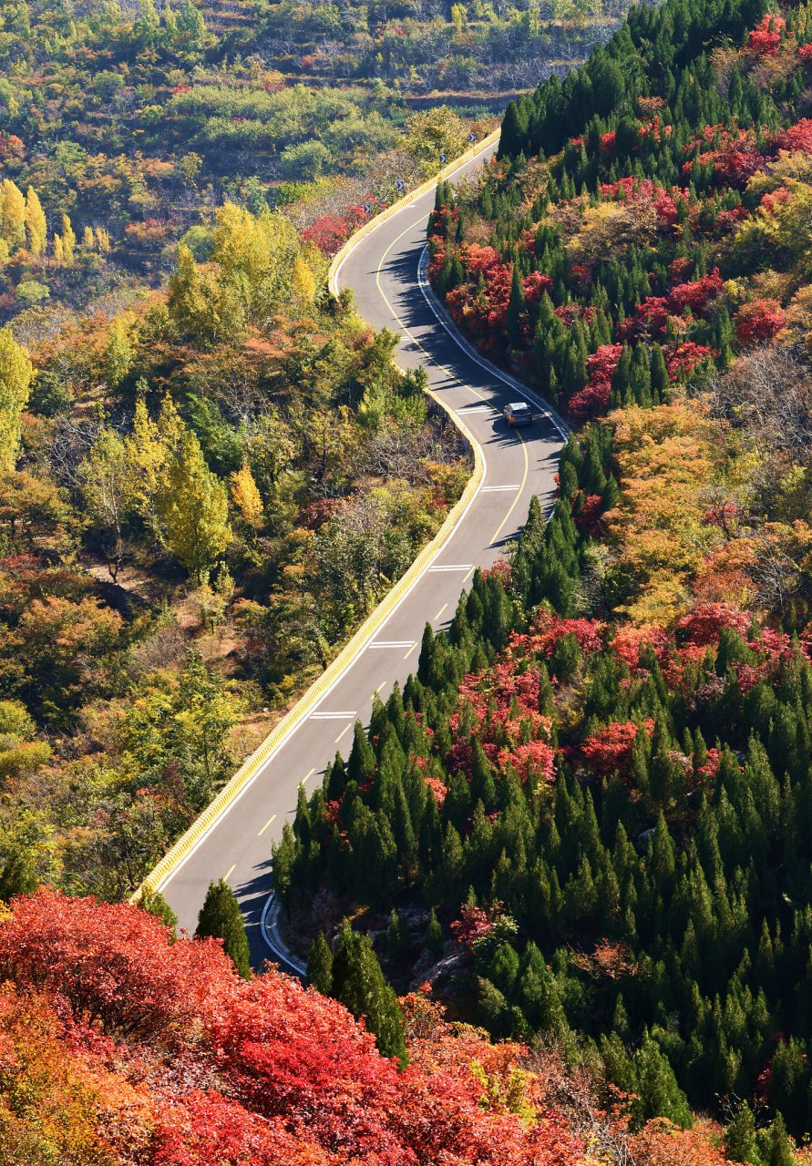 九月动态激励计划# 本恒公路·中华枫叶大道,最美的红枫自驾路 本桓