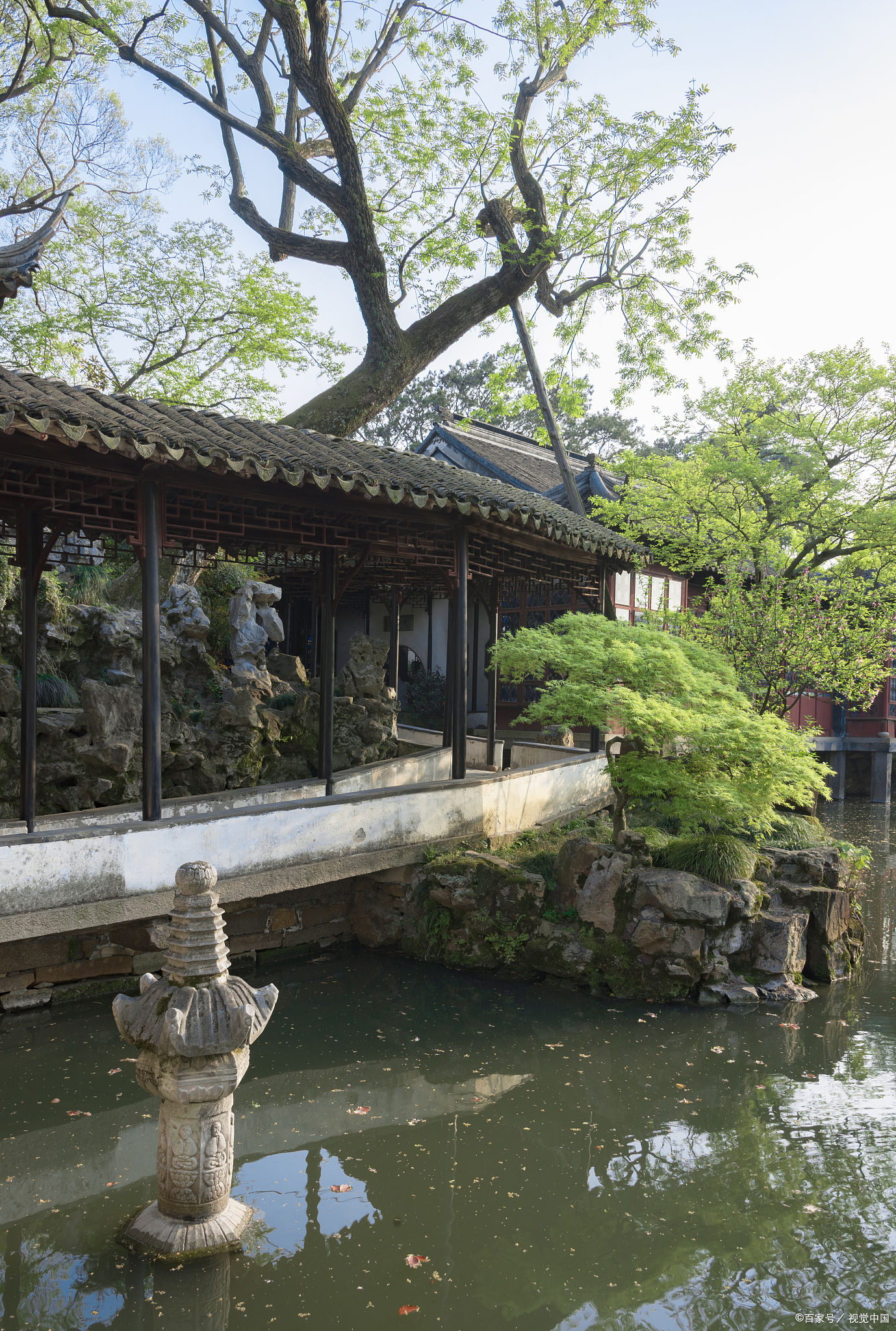 每当提及苏州,我的脑海中总会浮现出一幅幅古典园林的美景