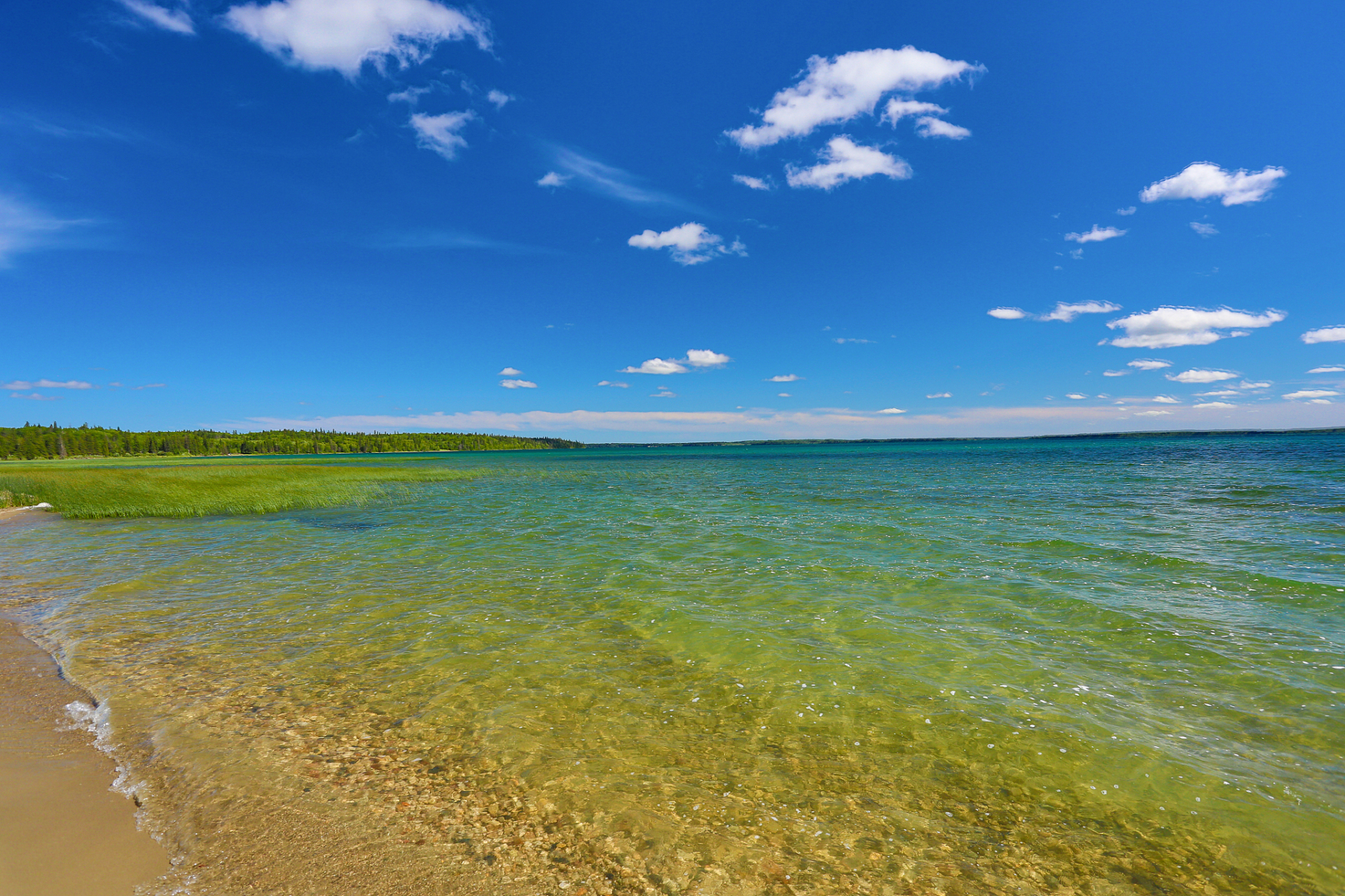 乌伦古湖,新疆阿勒泰福海县的璀璨明珠!湖水深邃清澈.