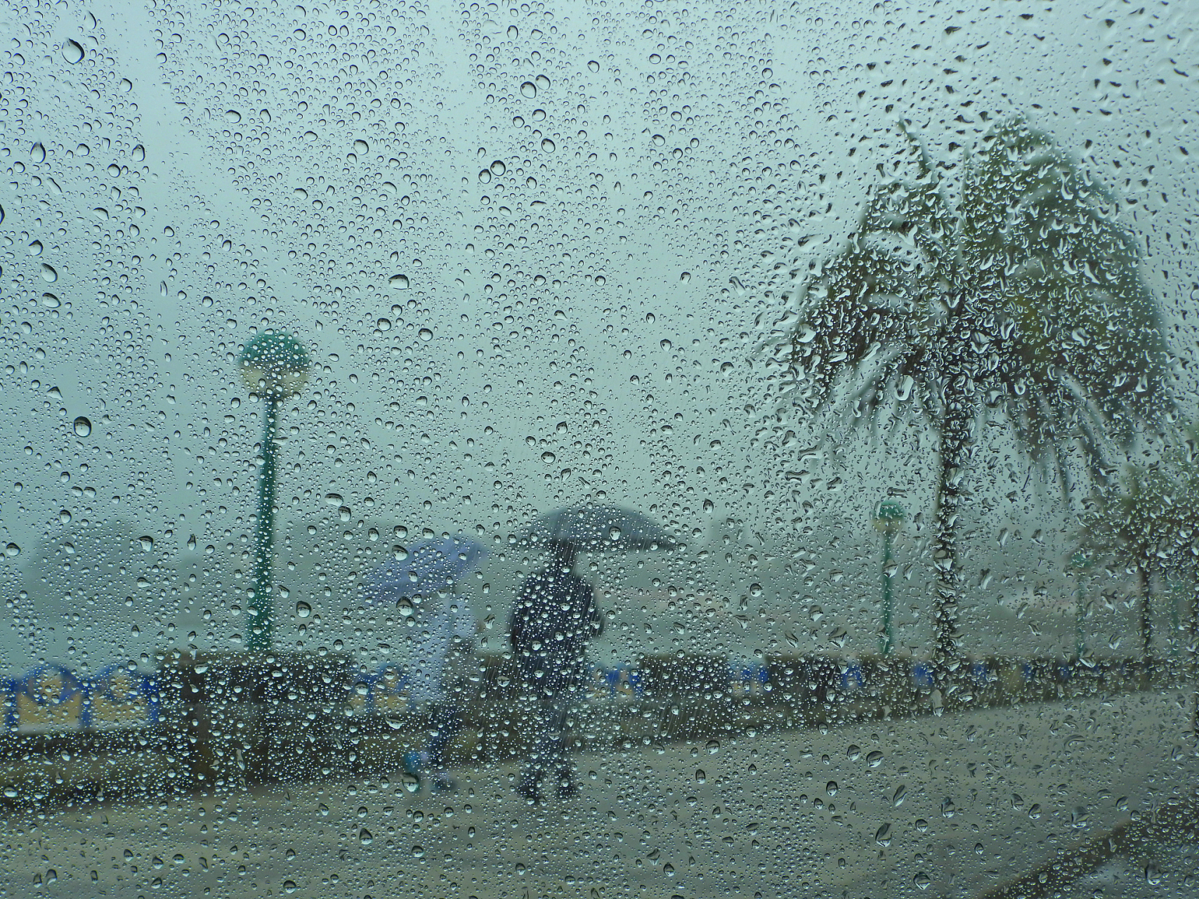 蒙蒙细雨的图片真实的图片