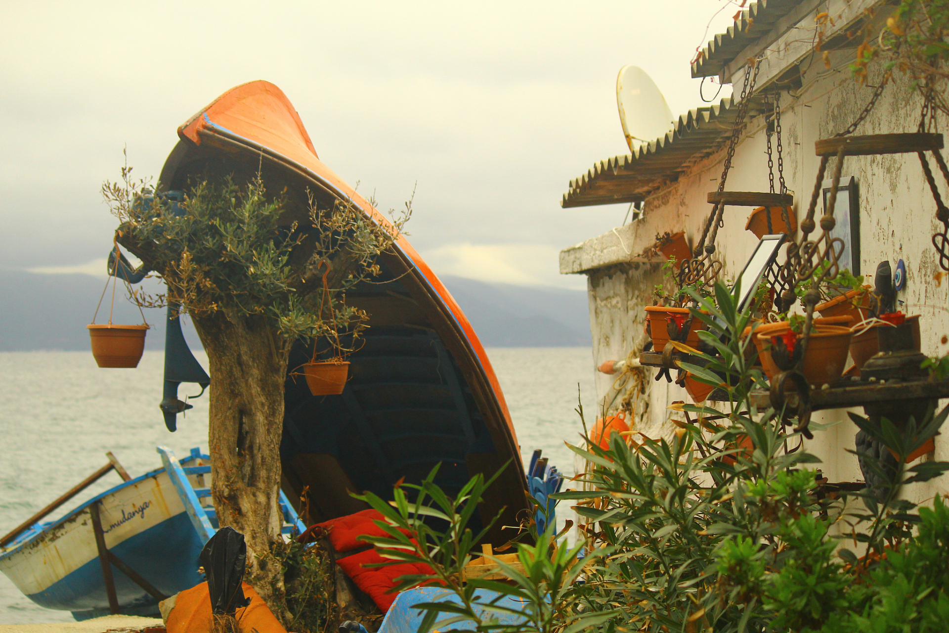 我一直在思考,谁才是我们生命中那个真正的避风港湾呢?