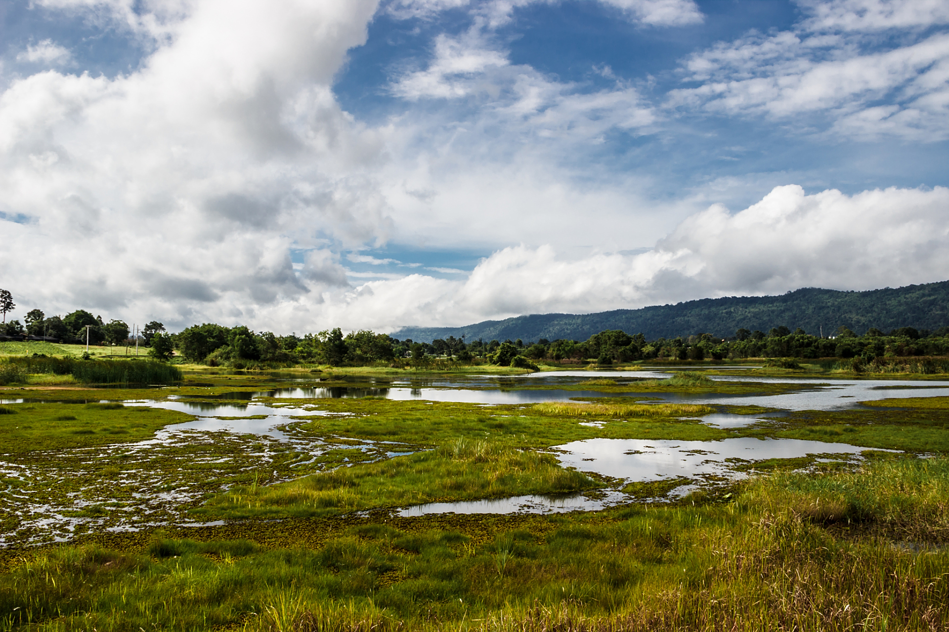 夏天去喀则江萨国家湿地公园,亲近自然,感受壮美景色.