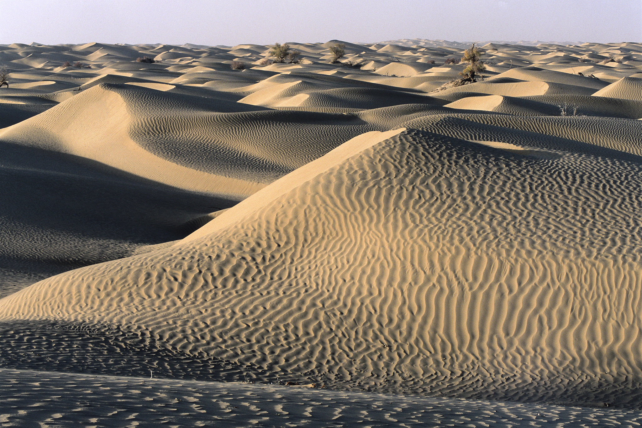 隐秘的自然宝藏:中国最远的陆地沙漠,古尔班通古特沙漠