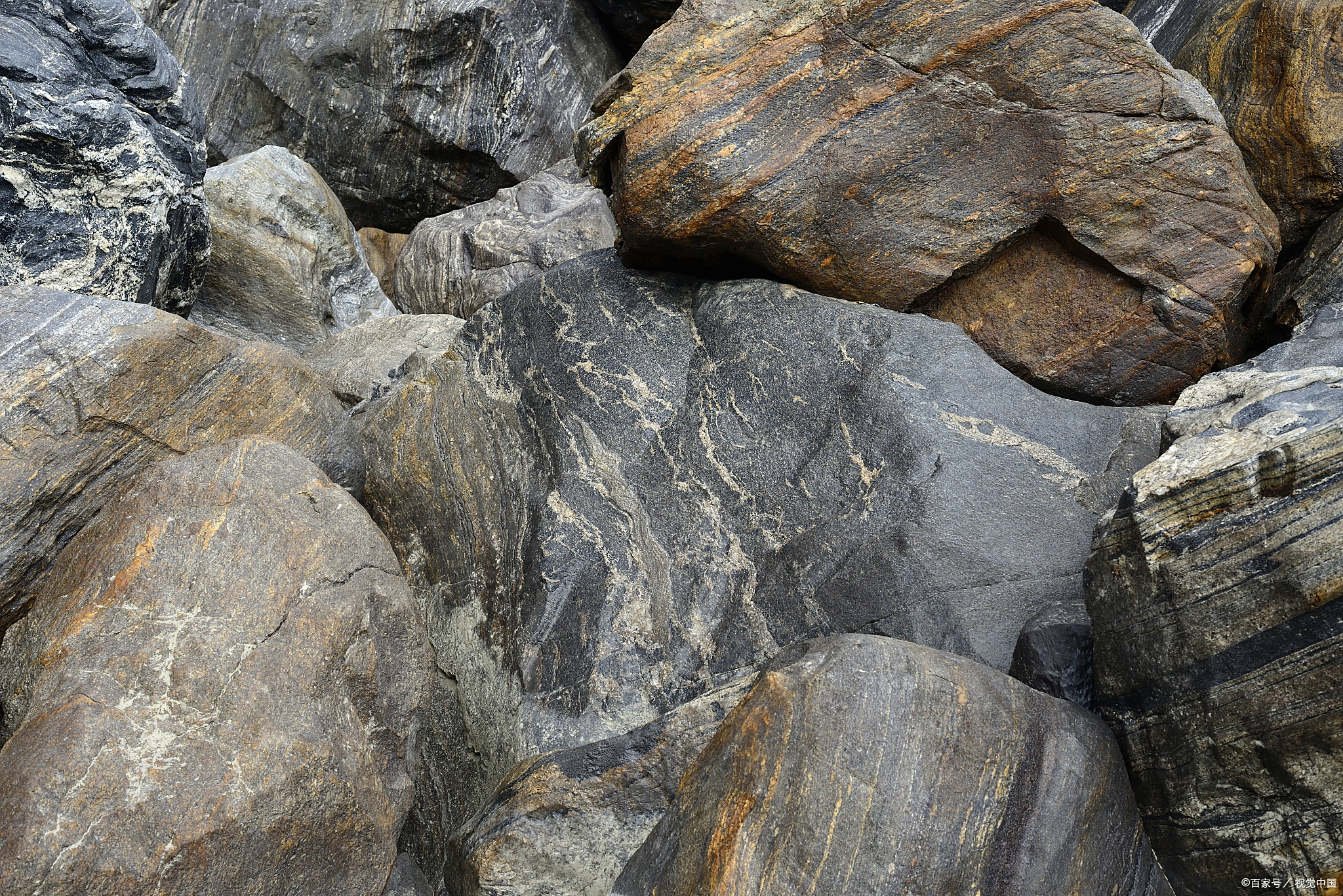 中山大学:岩石学专业的学府 优质环境与良好前景的契合 教育的卓越