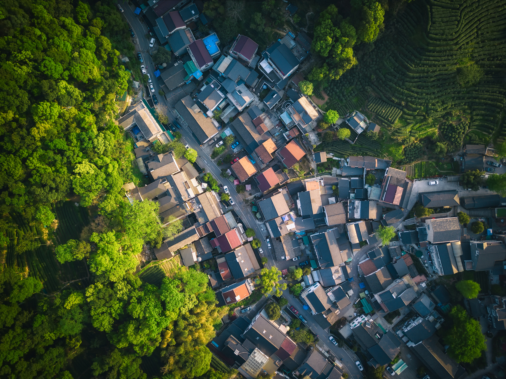 位于浙江省杭州市的龙井村,坐落在西湖风景名胜区西南,群山环绕,气候