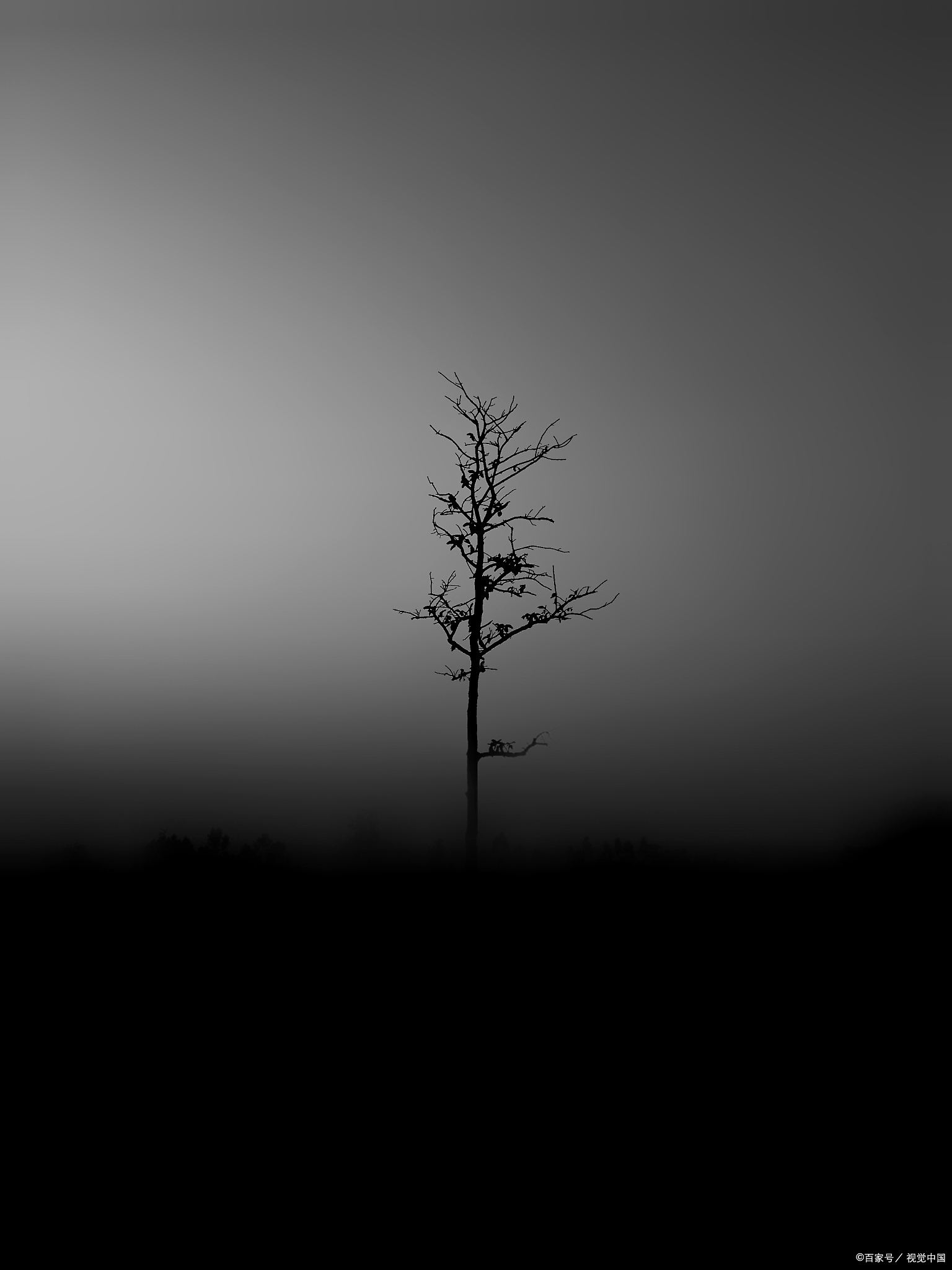 冲破压抑的阴霾,重寻内心的阳光