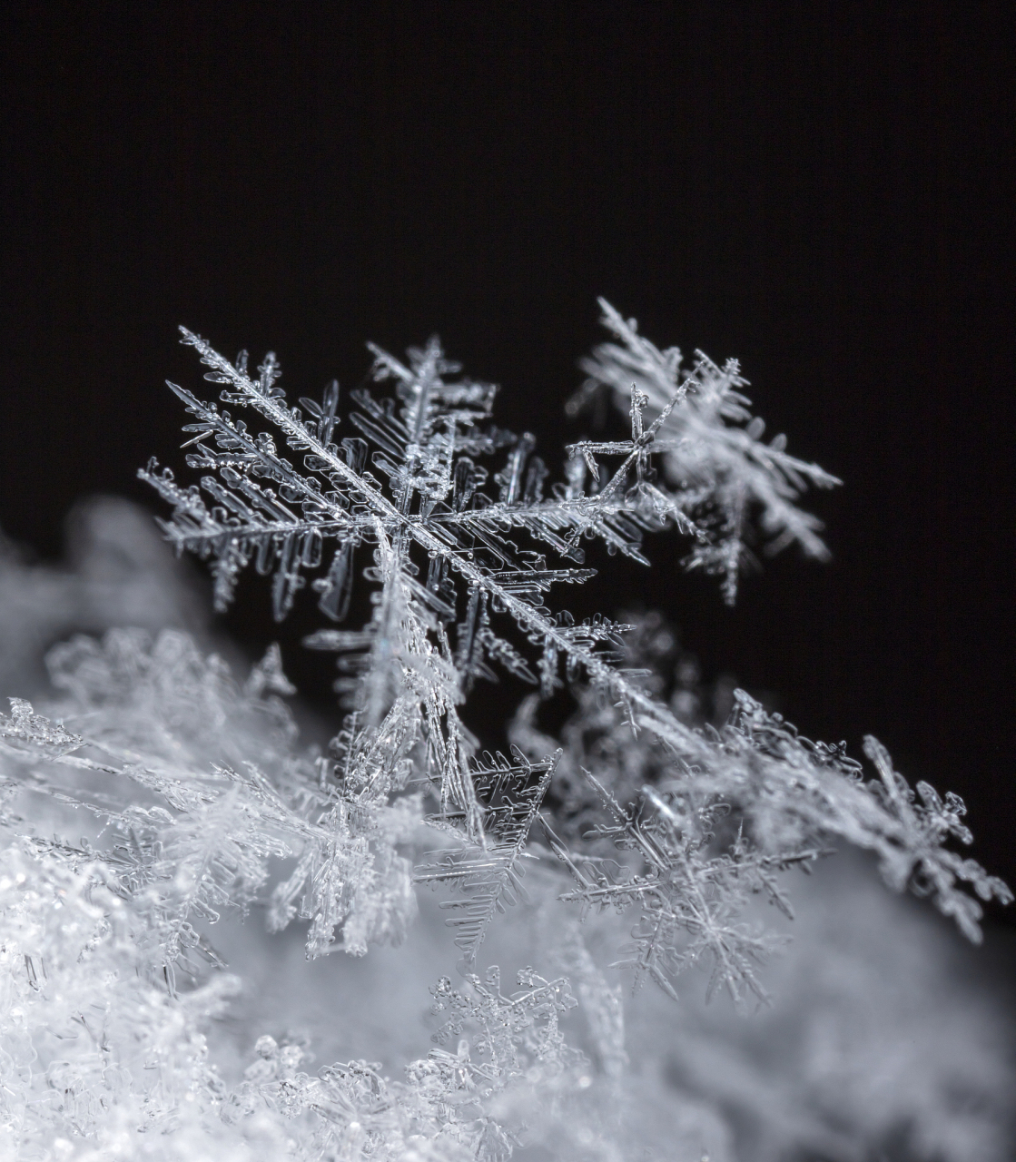 摘要:拍摄晶莹剔透的雪花微距照片需要选择合适的设备,寻找合适的拍摄