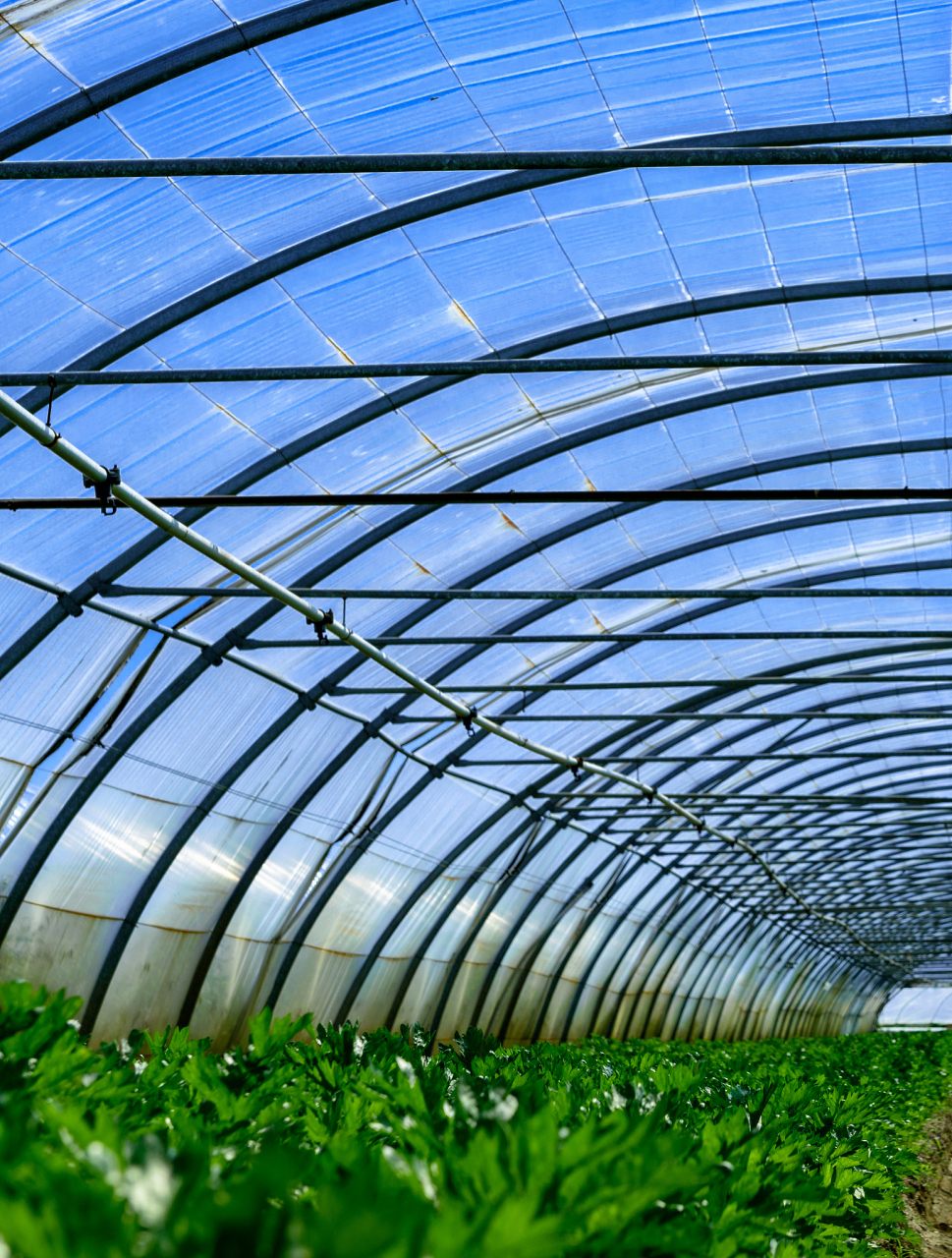 想要拥有自己高质量的避雨大棚,该如何如何选择.