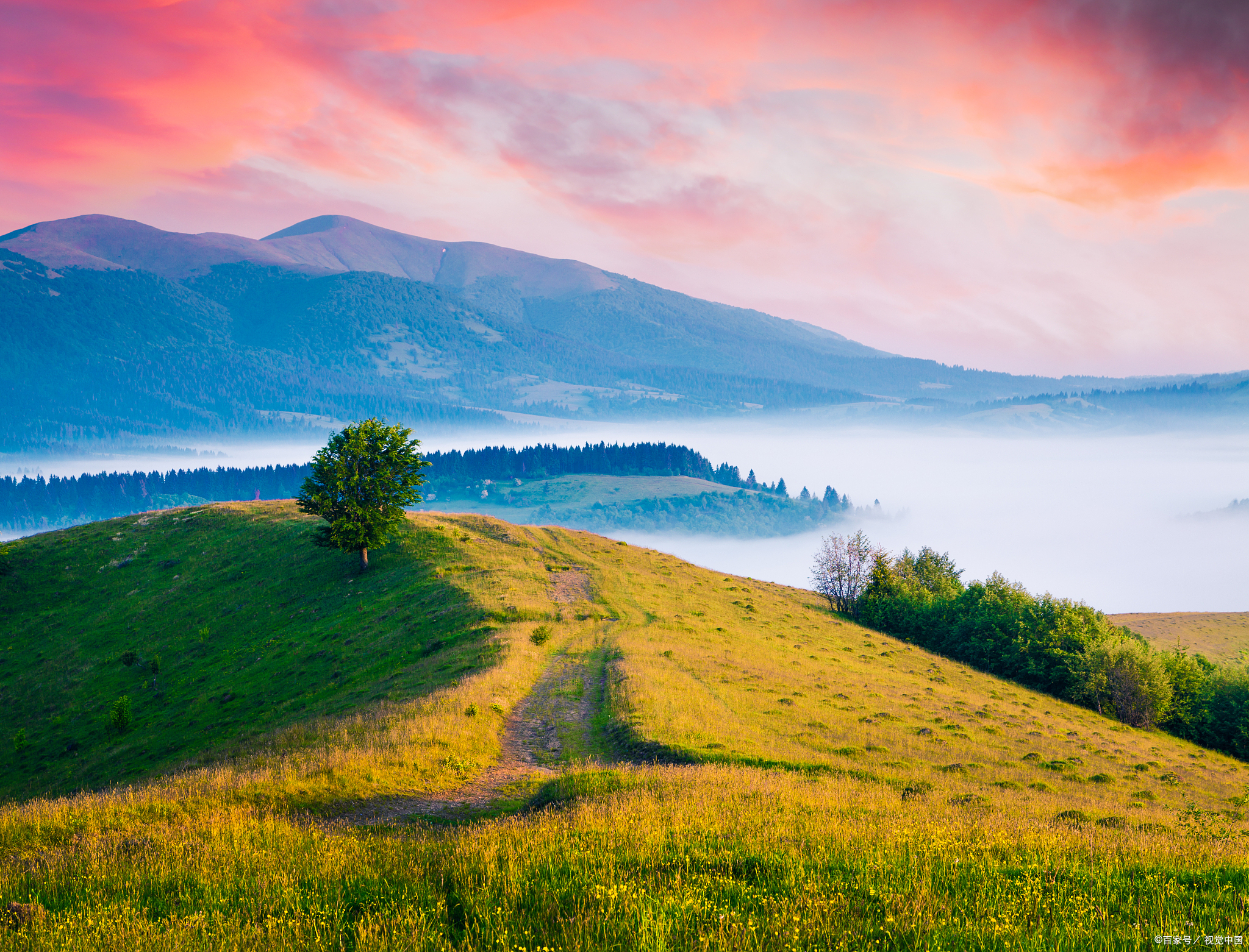 什么是男女朋友关系,如何建立
