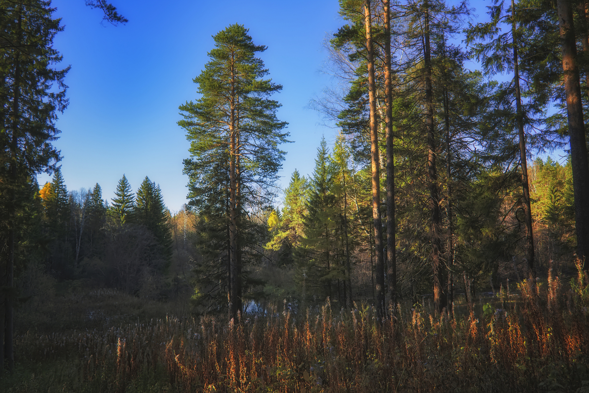 选择一条合适的徒步路线,深入小兴安岭腹地,你将能亲眼