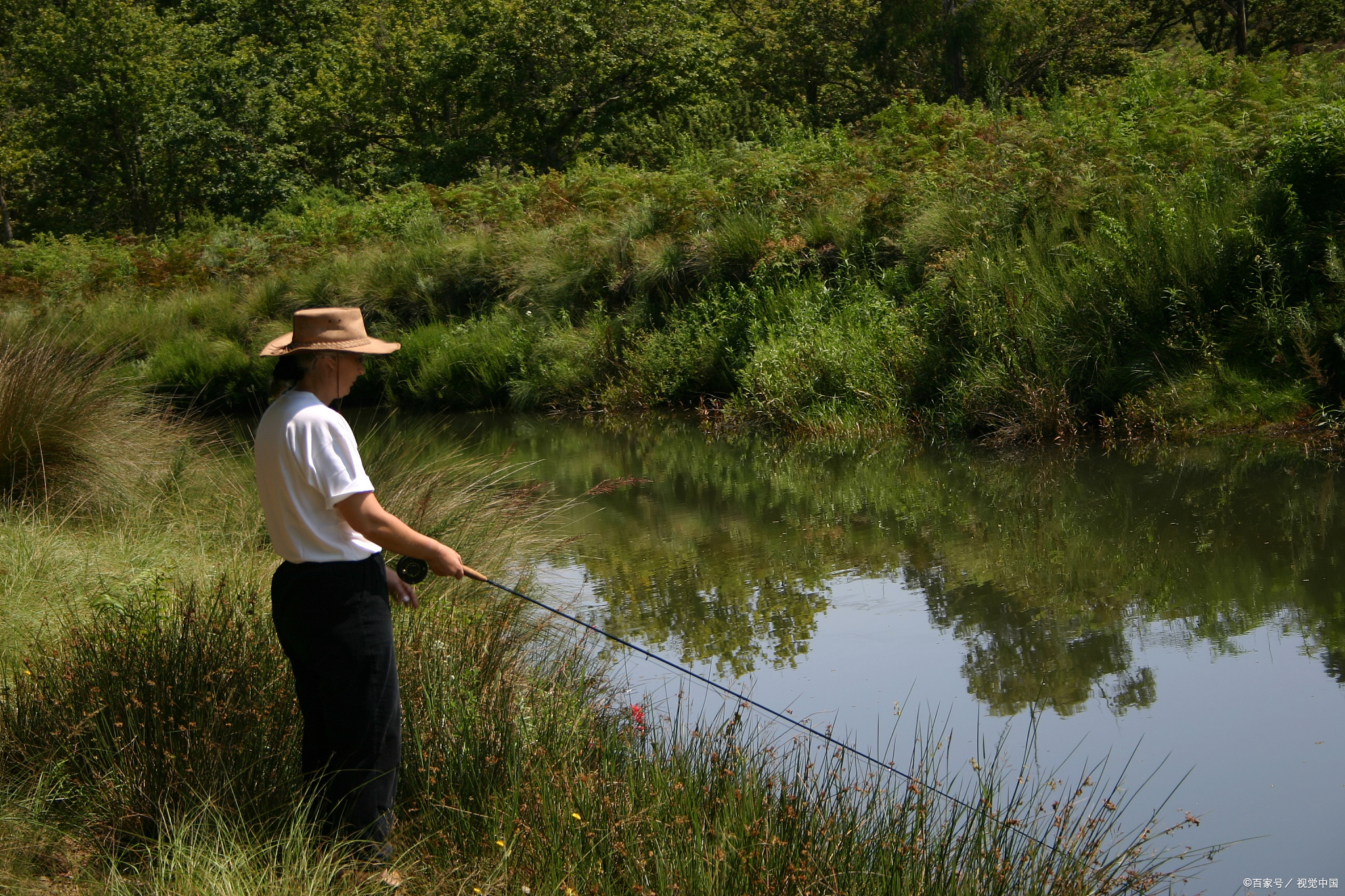 钓黄鳝鱼的技巧和方法