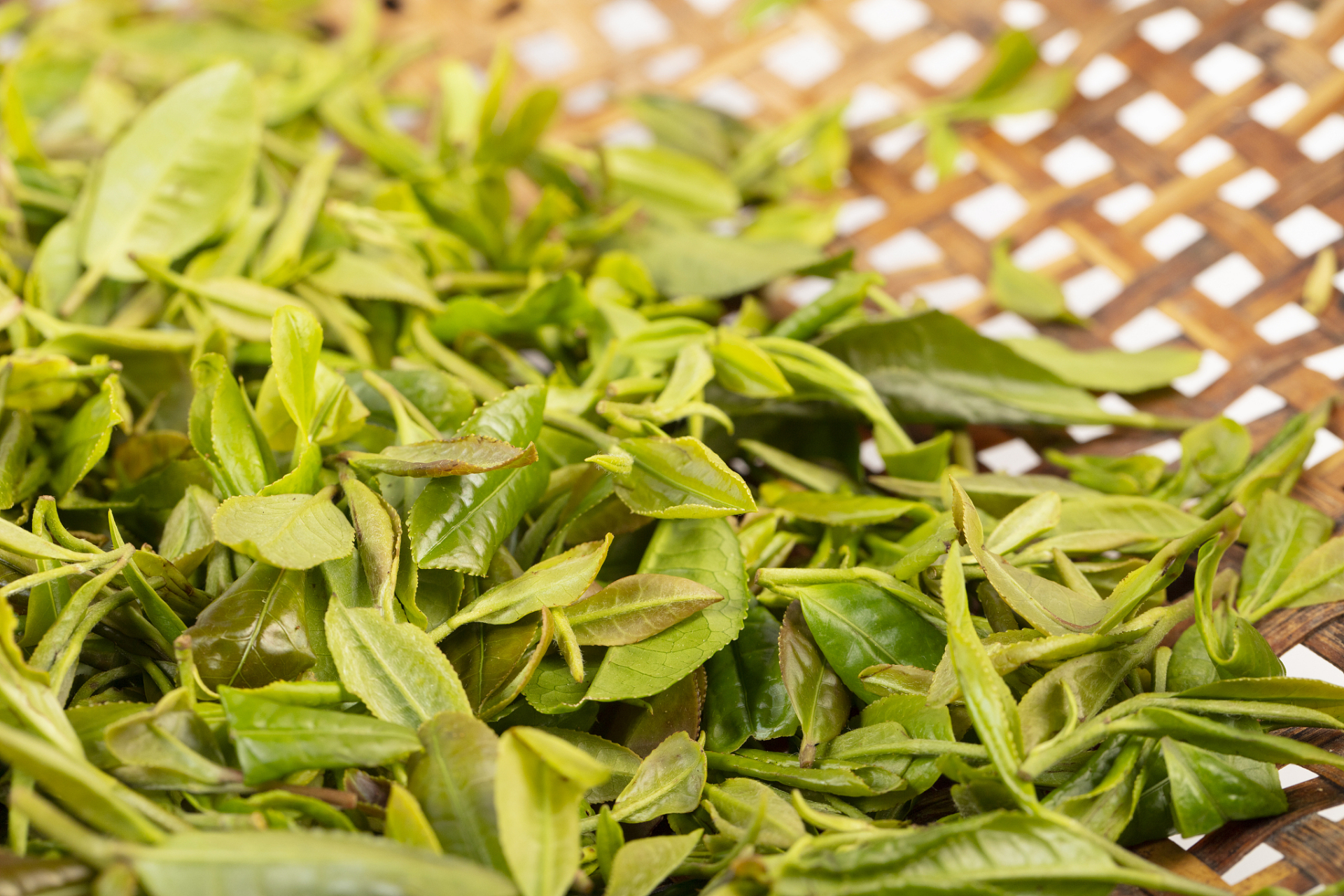 碧螺春#  碧螺春是中国安徽歙县出产的绿茶,属于中国十大名茶之一.