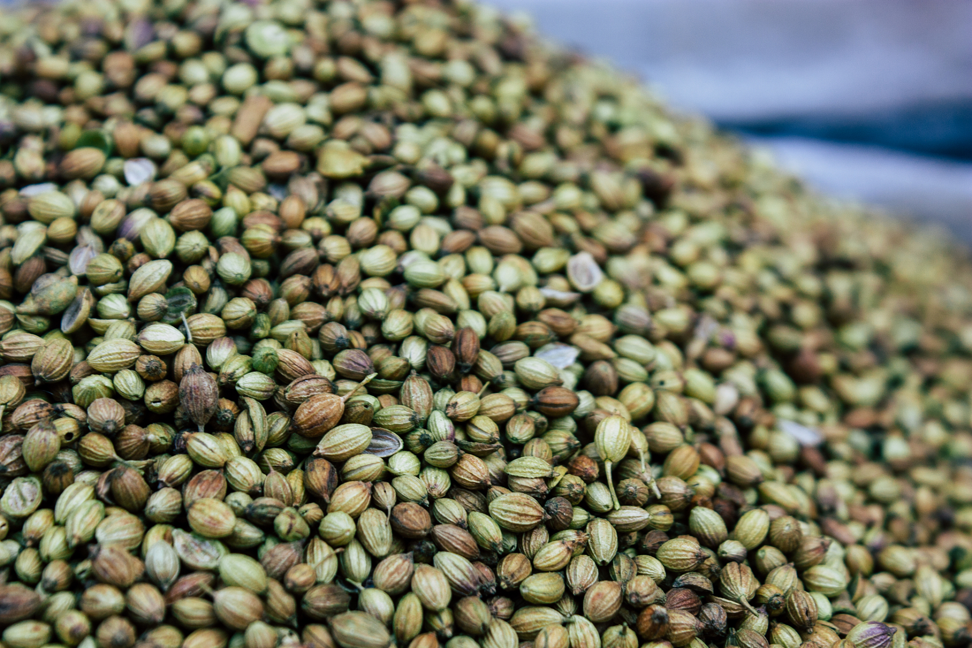 男人之宝——韭菜籽  韭菜籽是中药中常用的一种药材,其现代药理研究