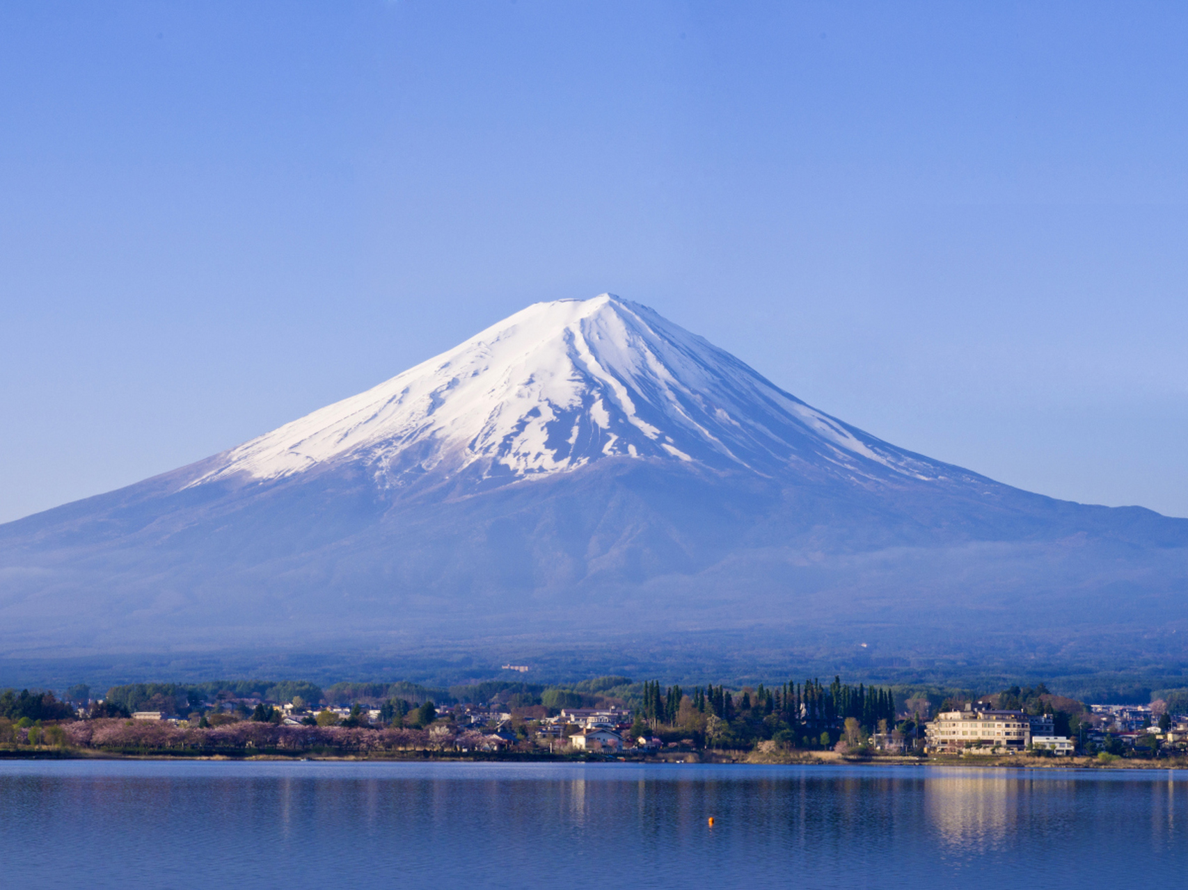 不想让游客看,日本一小镇拉黑布遮挡富士山远景.