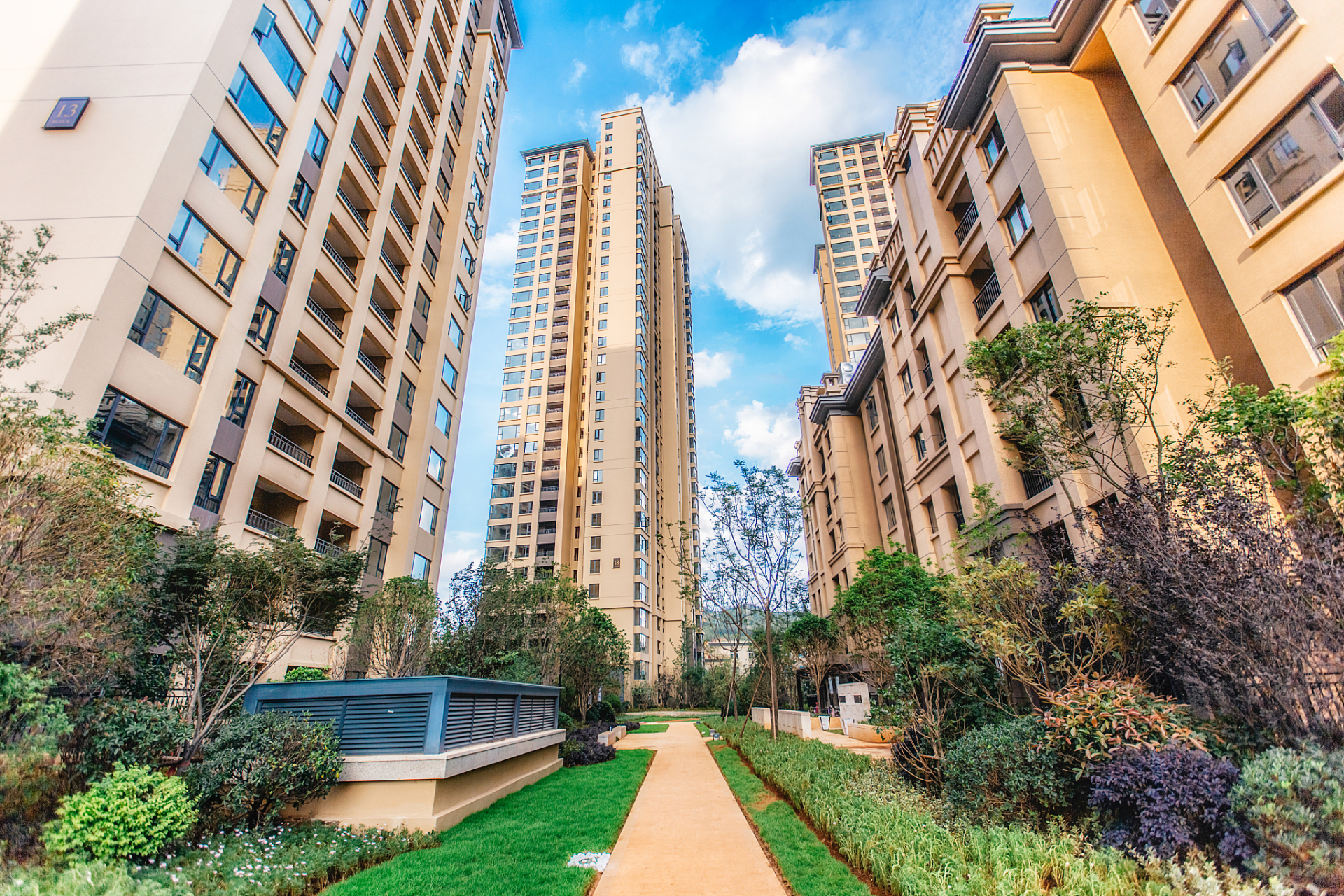 94 一位东北买家发现,版纳不仅是