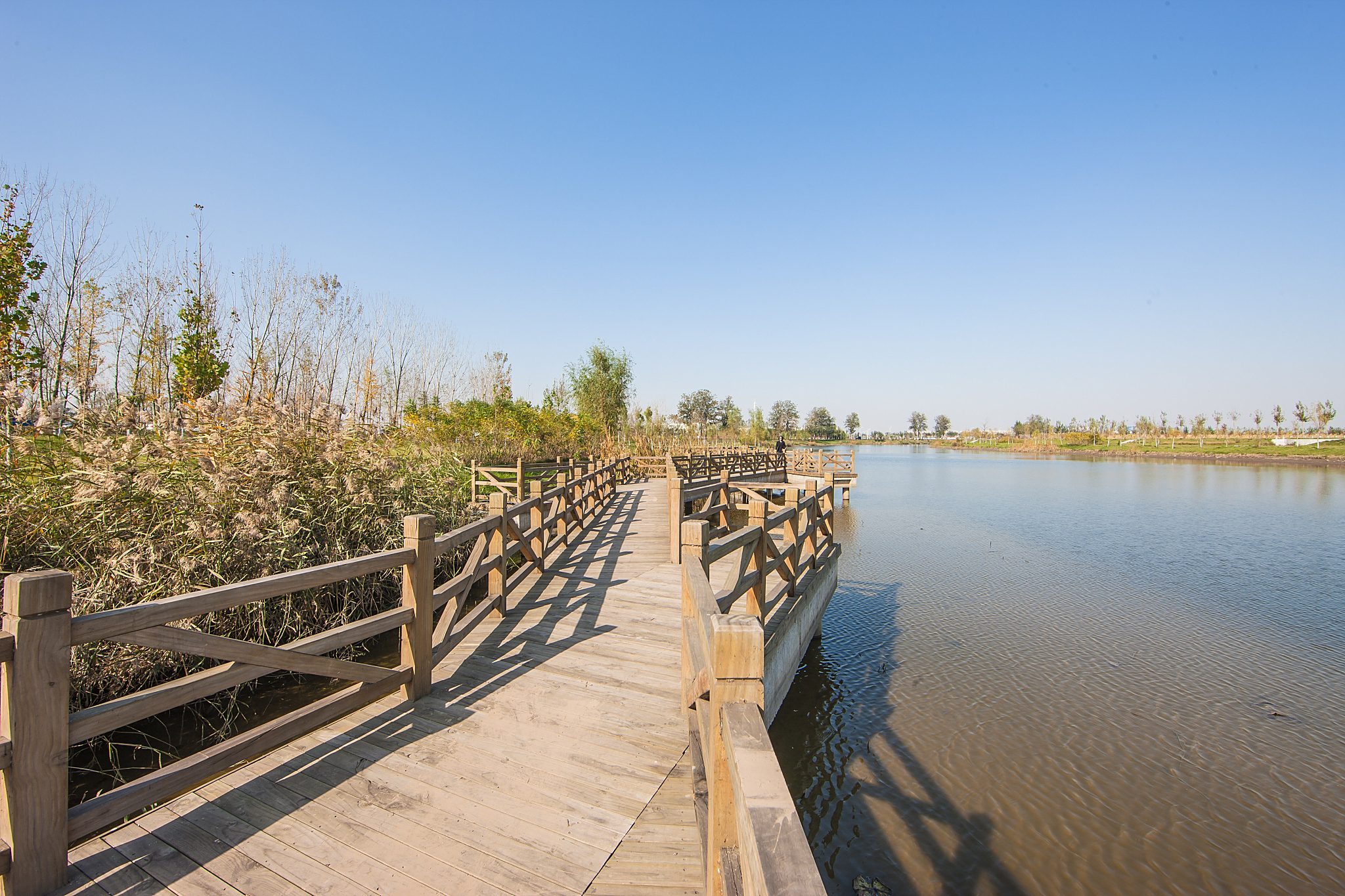 杭州湾湿地公园位于宁波市杭州湾南岸,是中国最大的滨海湿地公园之一