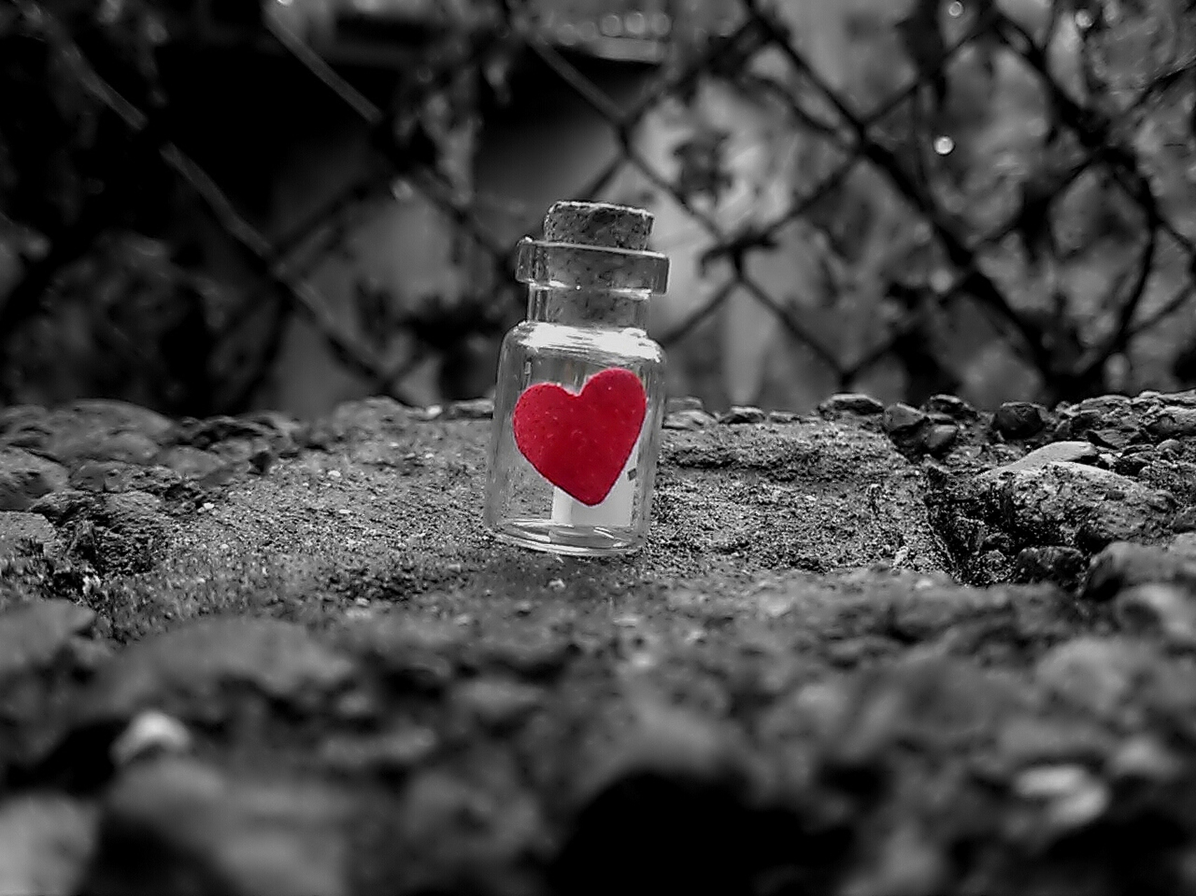 心累,万念俱灰,感觉快要撑不下去的时候,如何调节自己?