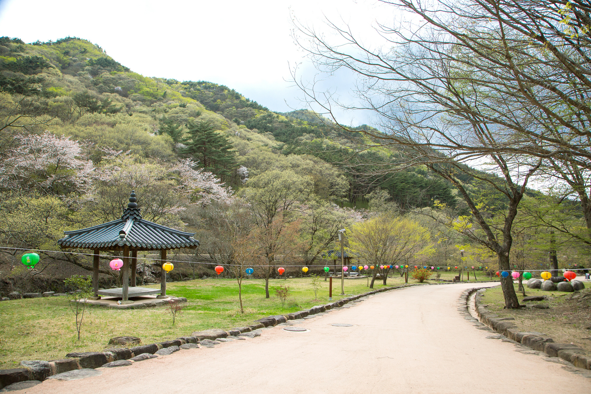 花马寺国家森林公园图片