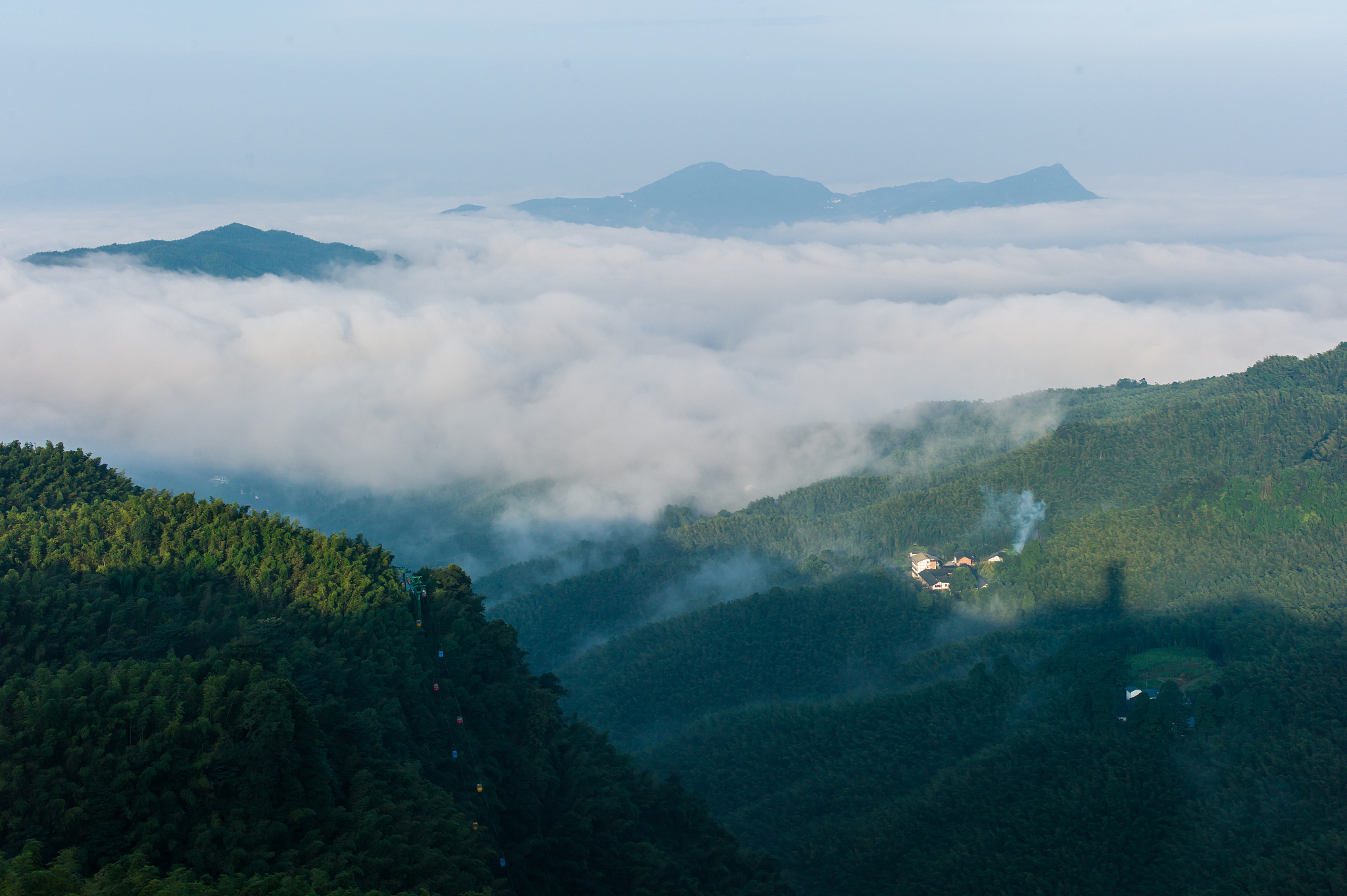 崇义阳明山,云海竹林,云雾飘渺似仙乡