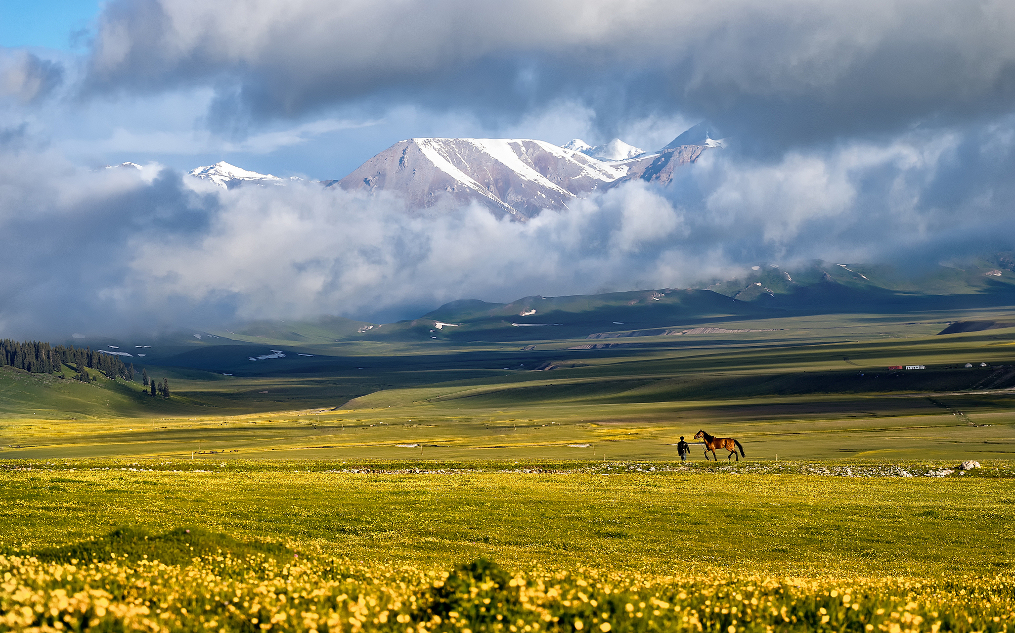 忽然掉入人间的天堂︱喀拉峻 新疆伊犁喀拉峻大草原是典型的山地草甸