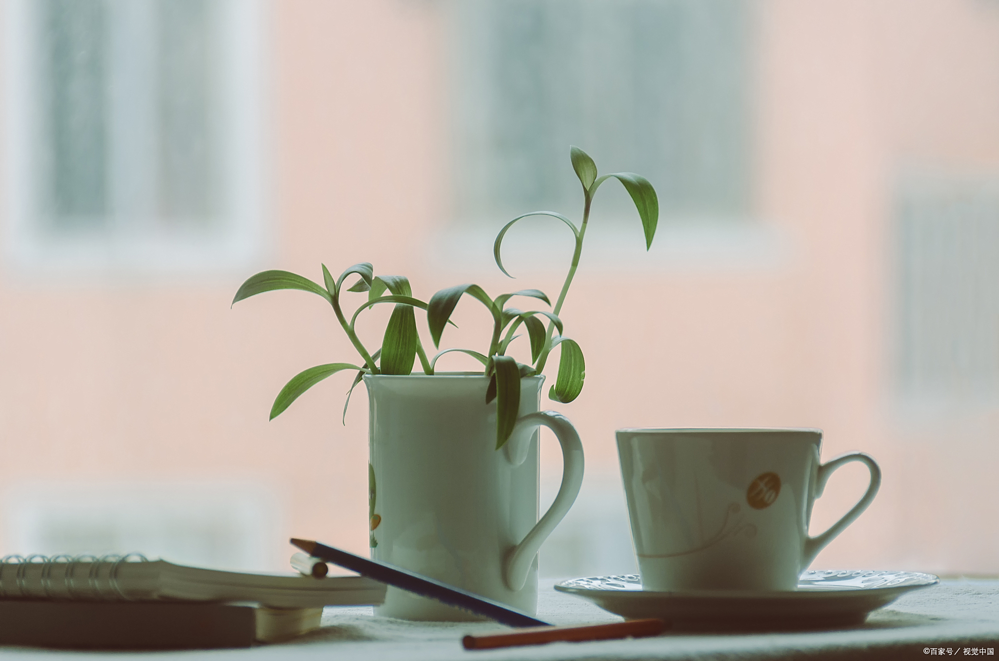 人这一生,最好的活法:凡事往好处想,生活往简单过