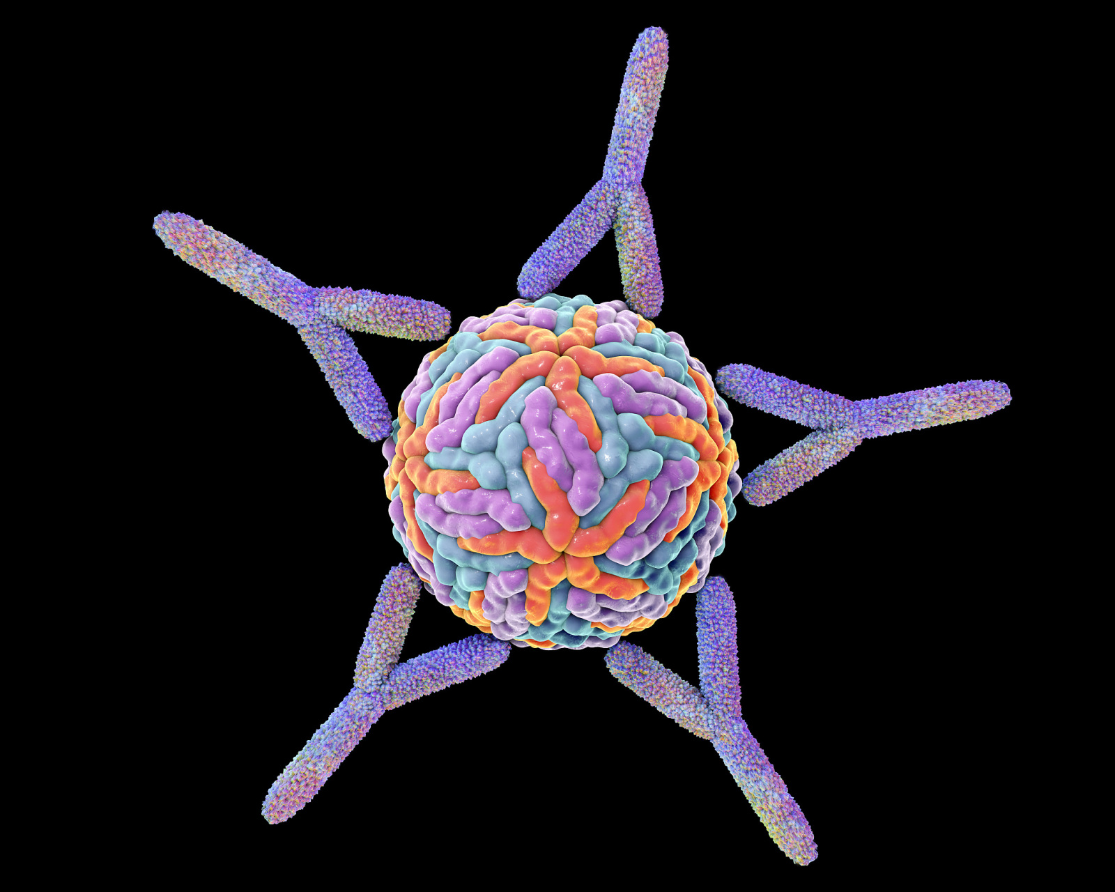 遇见新冠后认识了抗原和抗体,测了这么多次抗原,你知道它是什么吗?