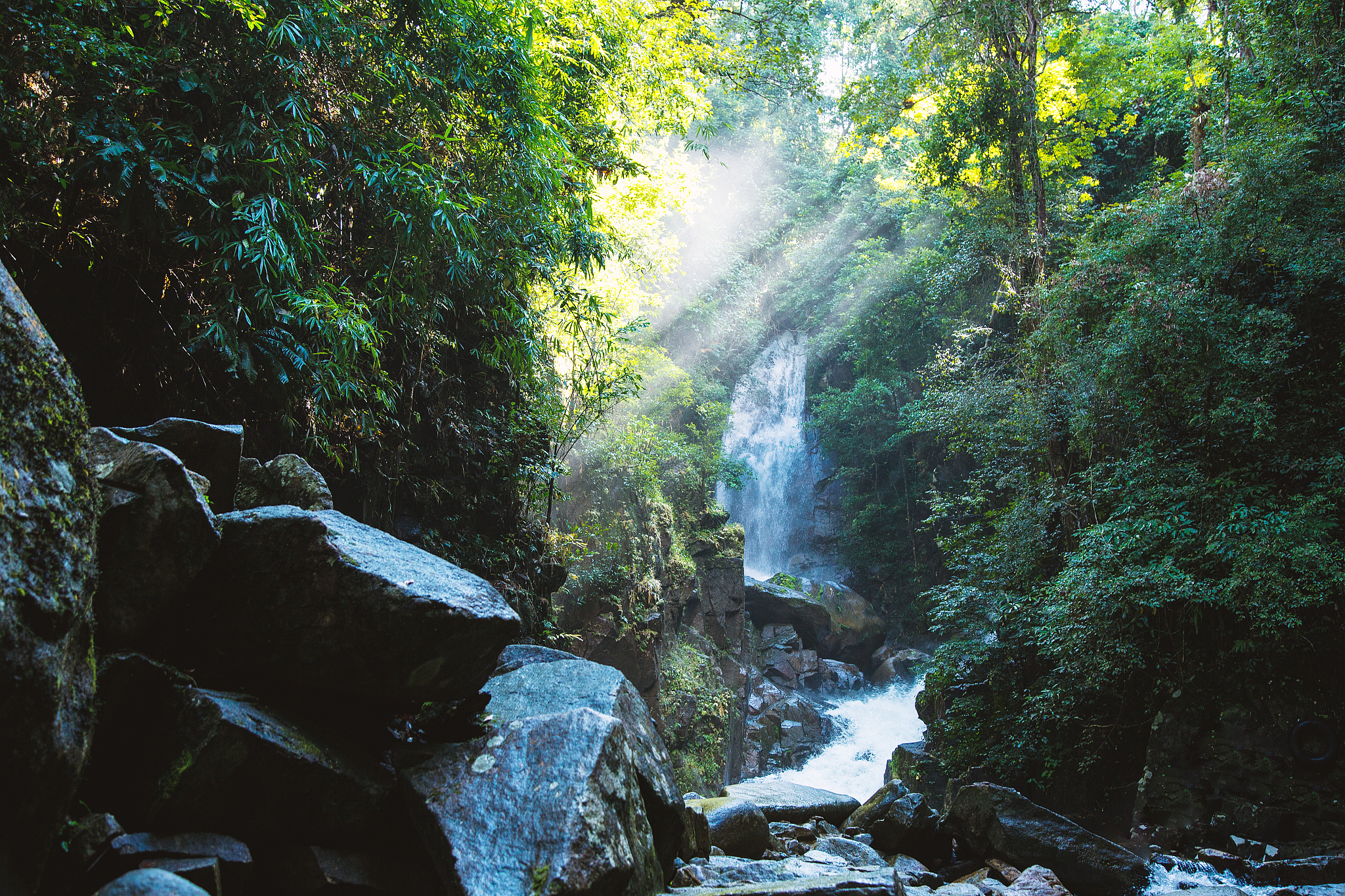 泸州古蔺黄荆老林避暑秘境,原始森林覆盖,凉爽如秋