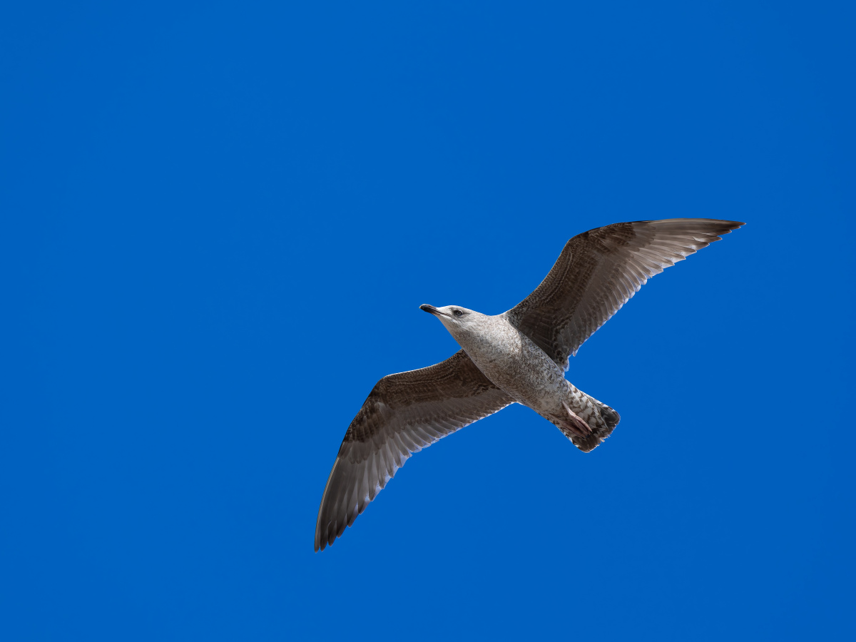 我有一个同事查出了癌症,他知道后只是开了点药吃