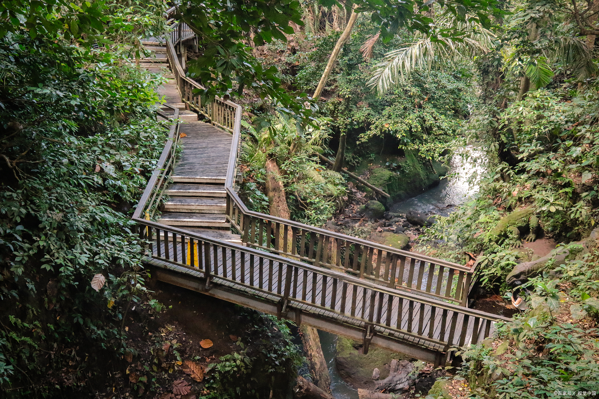 福州旗山公园图片