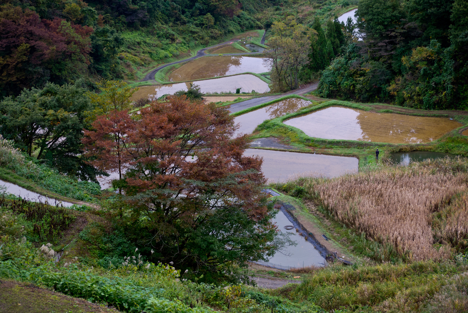 兄弟姐妹之间,最怕付出不被感恩,索取不懂回应.