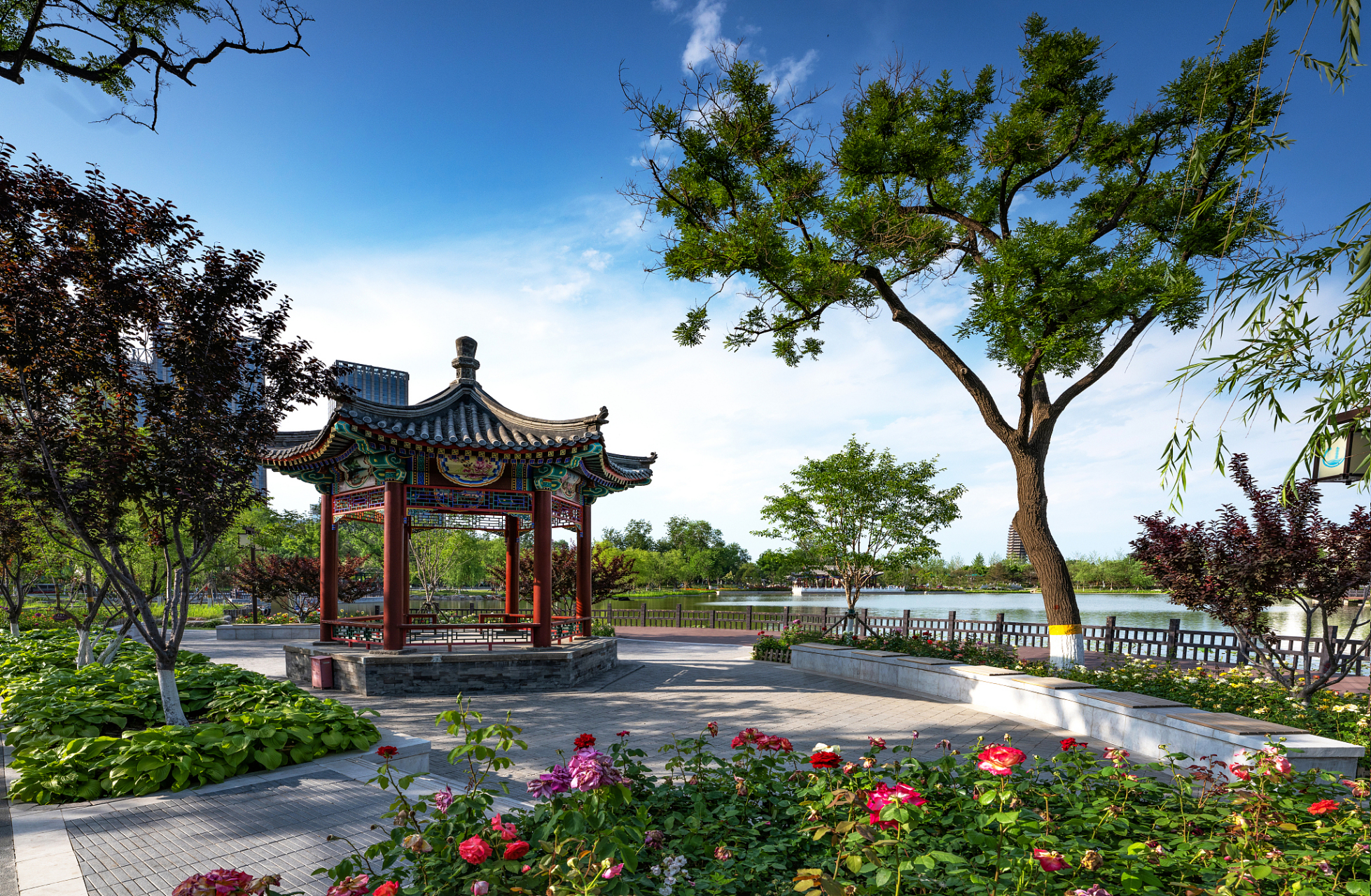 在日渐升温的天气中,伊水游园成为了许多人放松身心,享受美好时光的