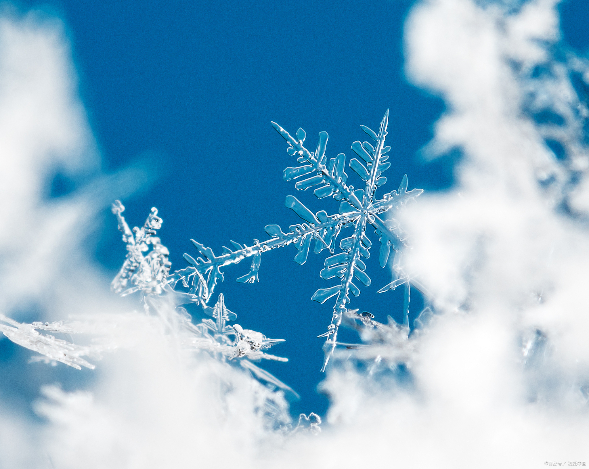 鄂西北的雪,天地间的精灵