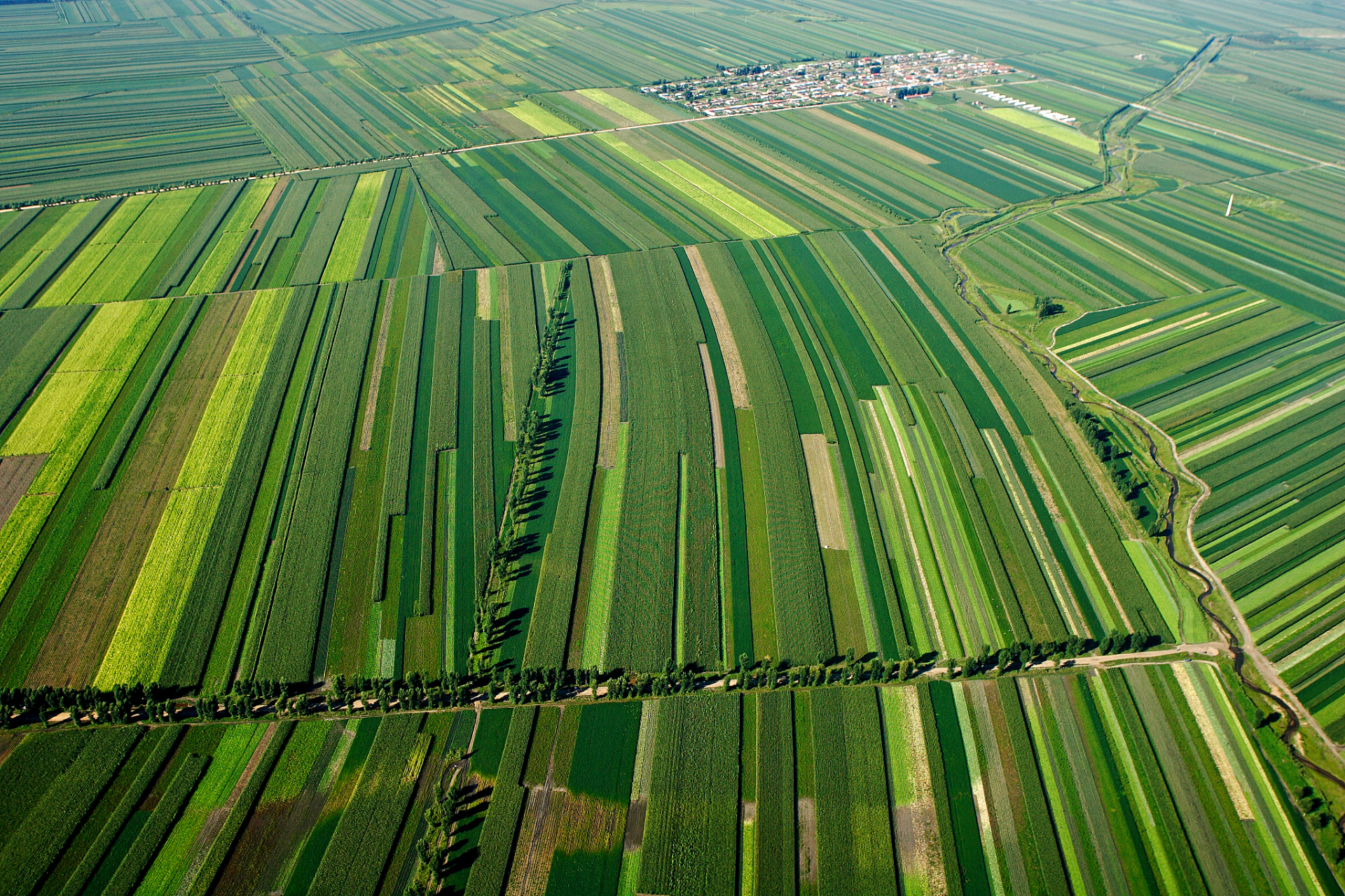 预计8月11-13日,黑龙江省三江平原,松嫩平原和牡丹江,吉林省白城,松原