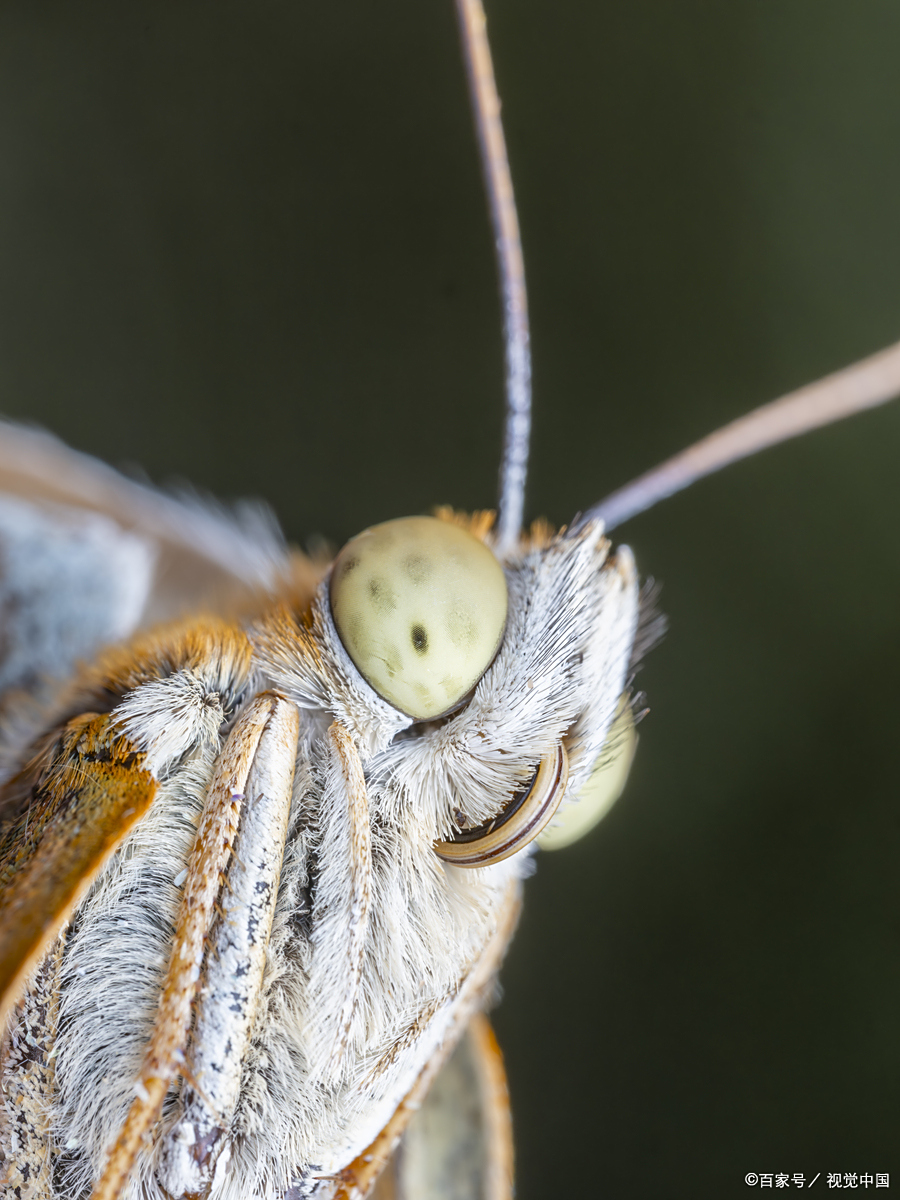 可不单是在生活习惯这方面,人际交往方面也是这样
