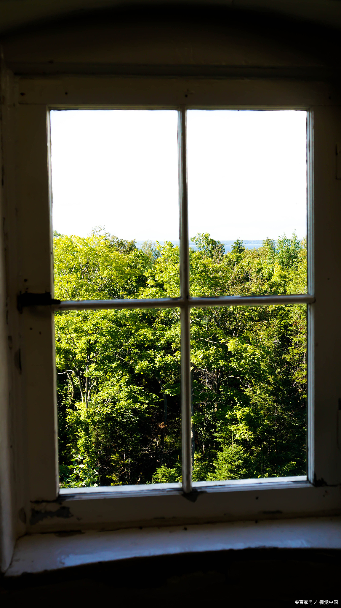 窗外即景400字作文秋天