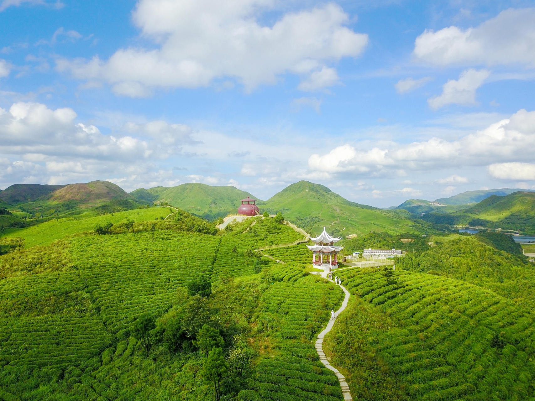 茶山森林公园,位于大罗山西北,与温州主城区隔着清澈的三垟水相望