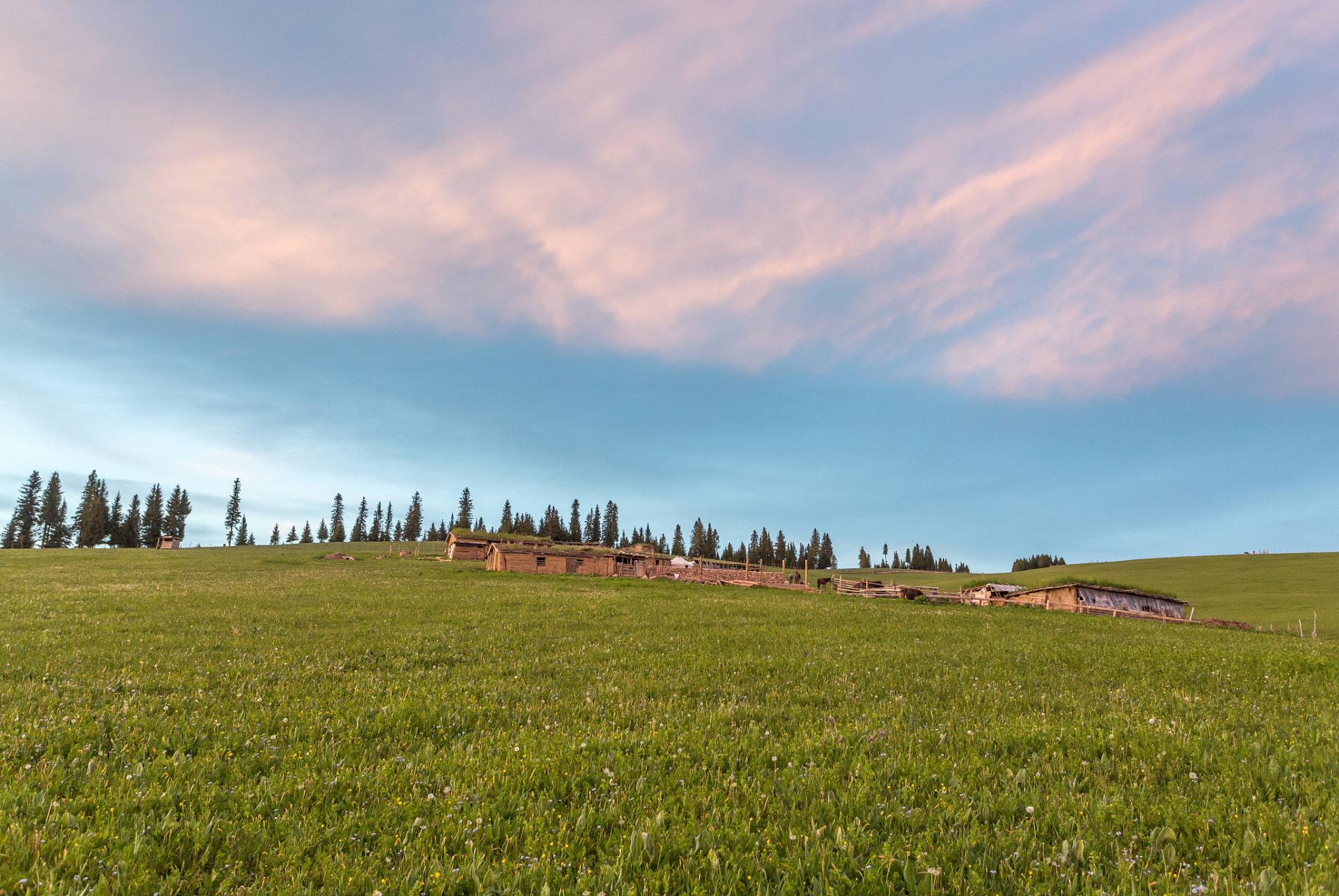 昭苏草原位于新疆伊犁哈萨克自治州昭苏县,被誉为"中国天马之乡","
