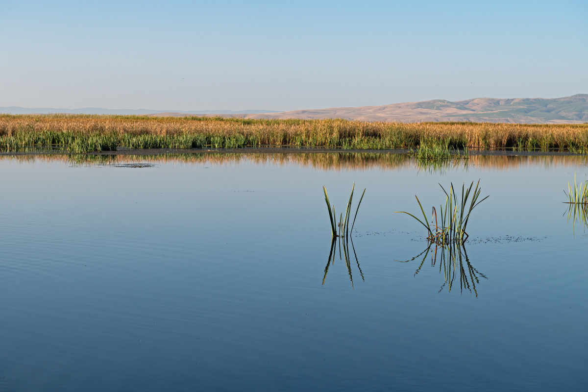 怀宁县一般湿地名录
