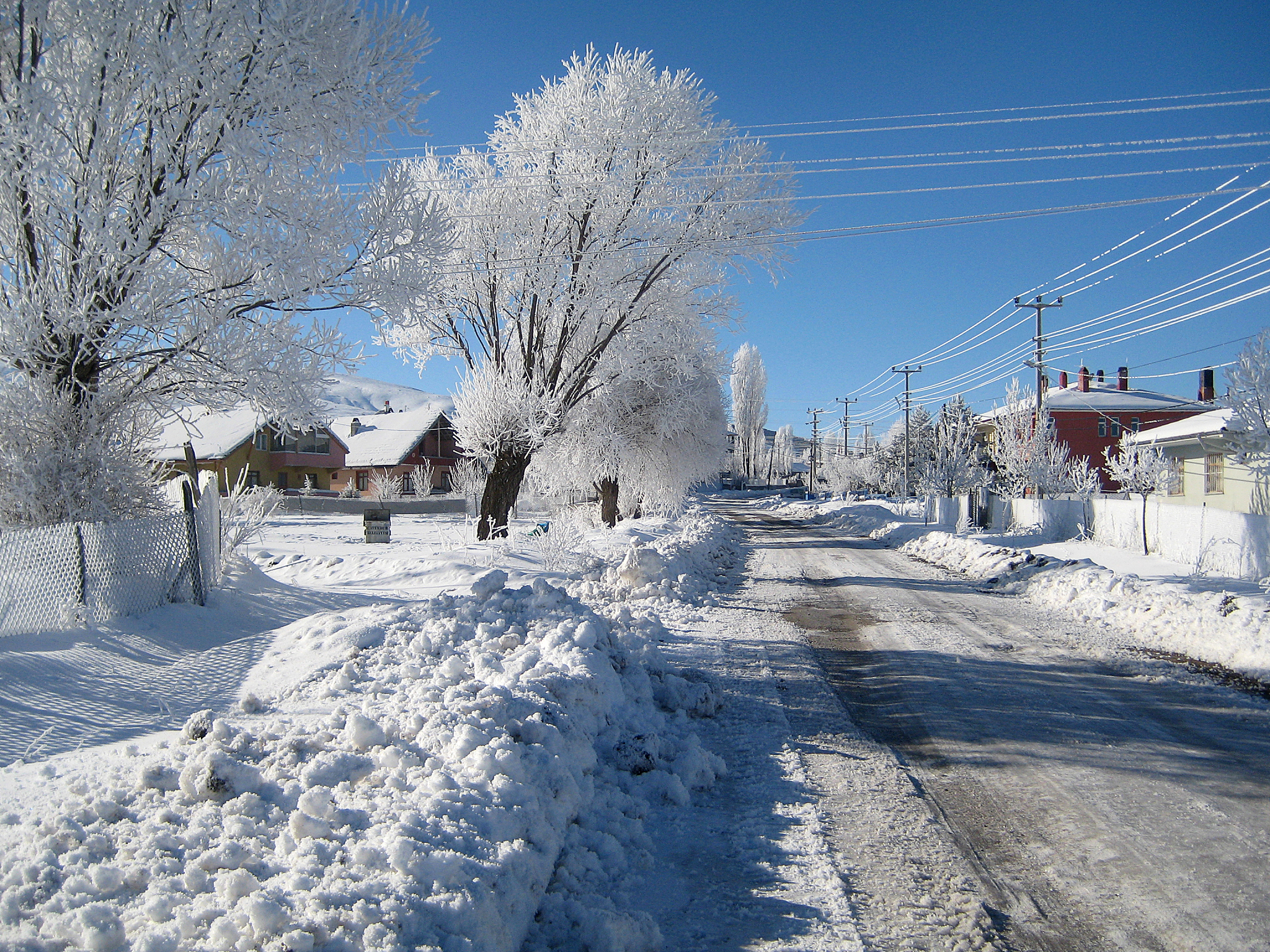 今天,东北地区的大雪真的太美了!
