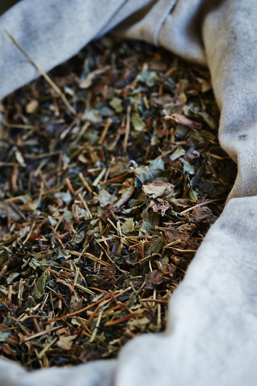 竹壳茶的功效与作用  清热解暑   茶功擅清热消暑,利湿消滞,用治感受